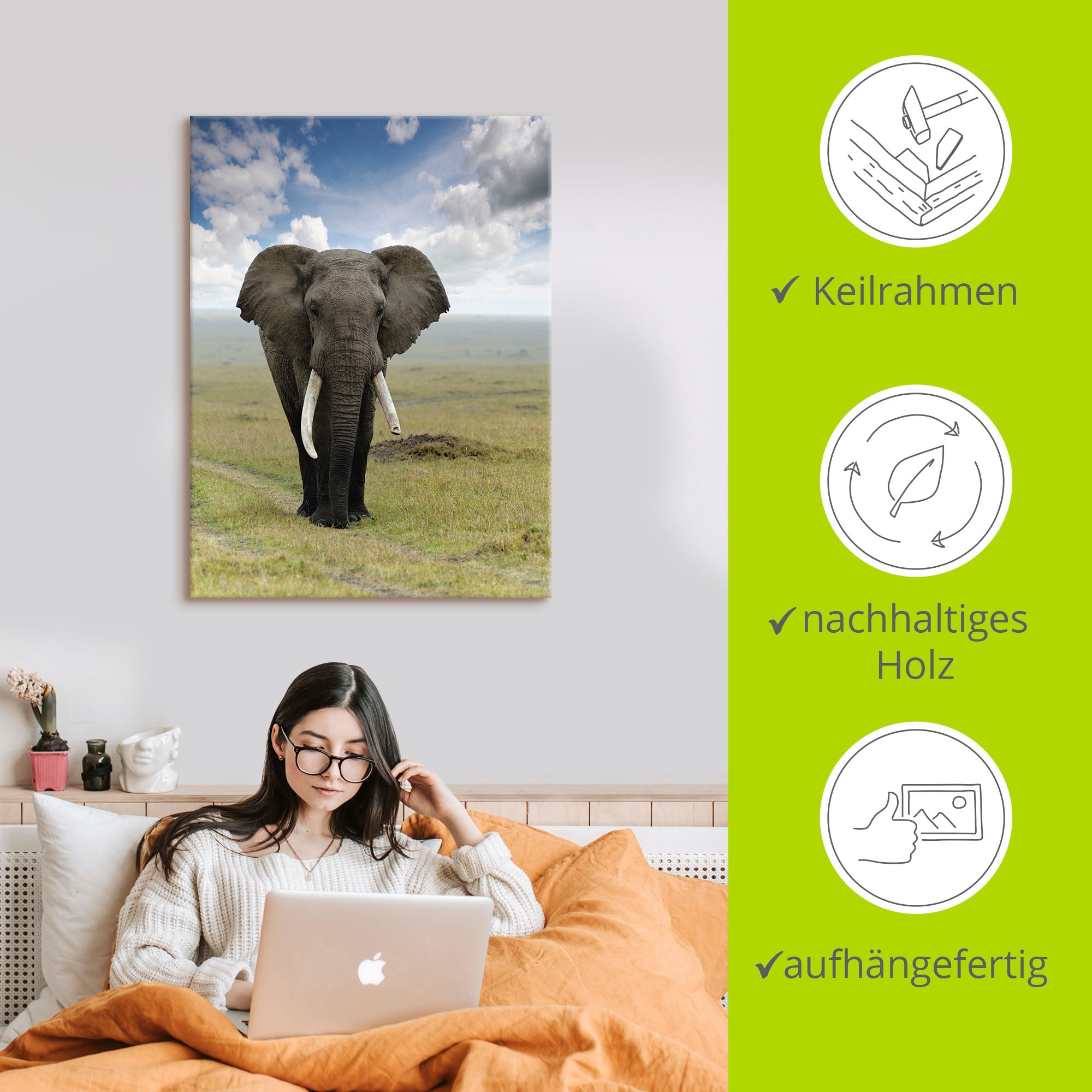 Artland Wandbild »Elefant«, Wildtiere, (1 St.), als Alubild, Outdoorbild, Leinwandbild, Poster in verschied. Grössen