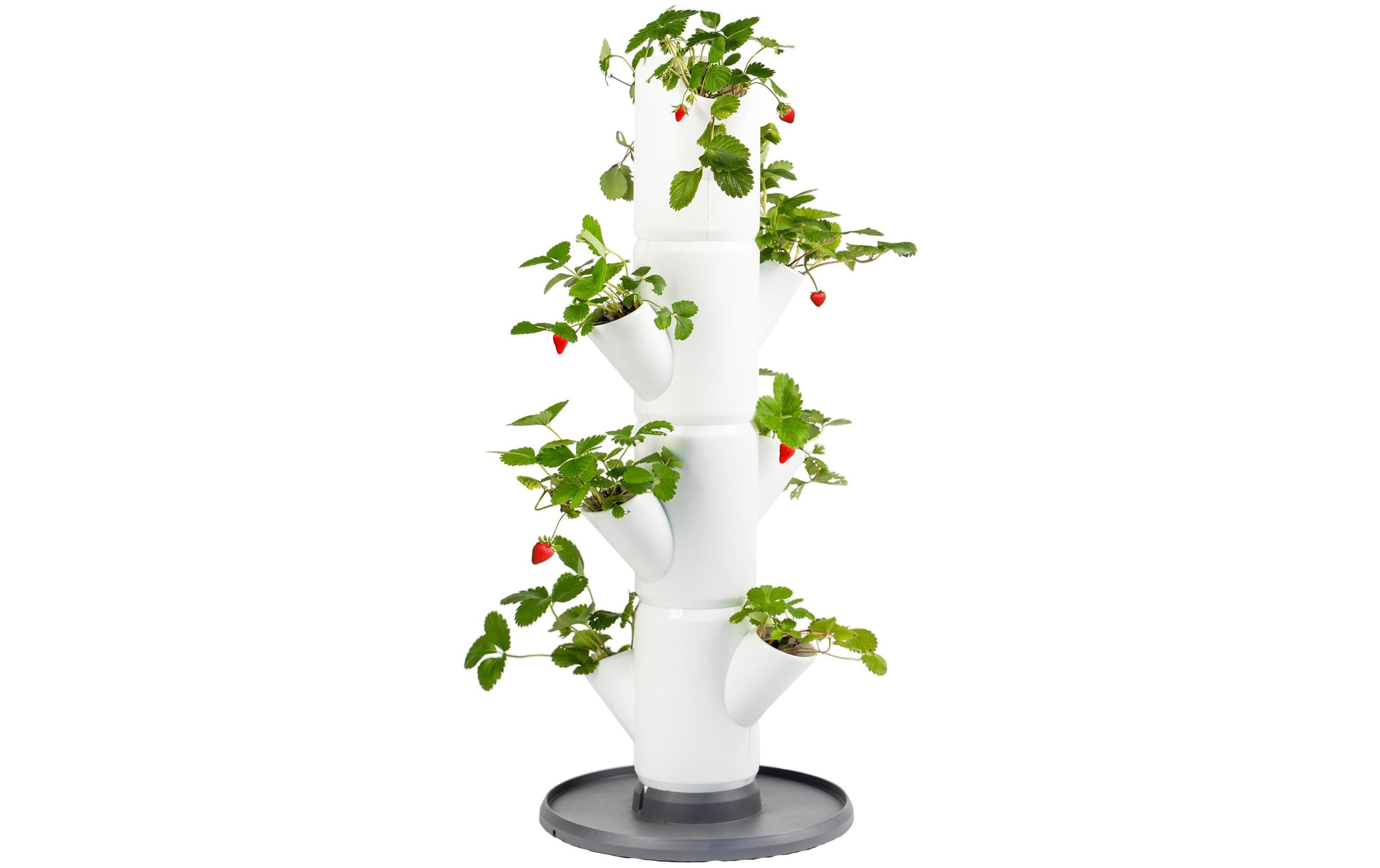 Image of Gusta Garden Anzuchttopf "starter weiss"