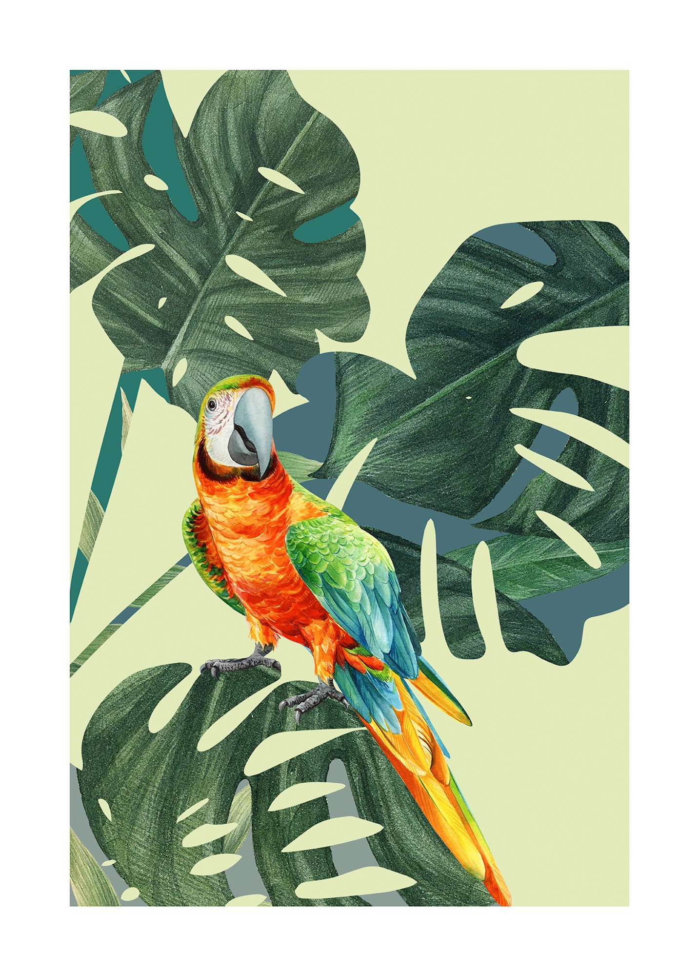 Image of Komar Bild "Green-Winged Macaw" Natur 1 Stk. tlg. Wandbild zur Dekoration - ohne Rahmen
