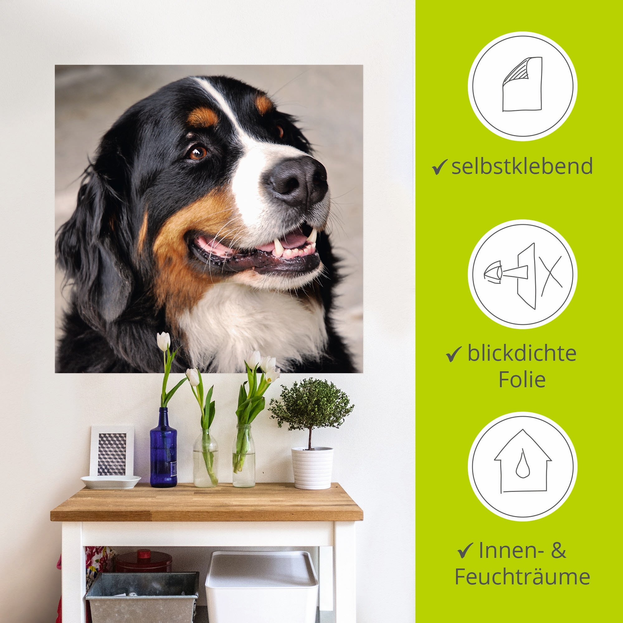 Artland Wandbild »Berner Sennenhund«, Haustiere, (1 St.), als Poster, Wandaufkleber in verschied. Grössen