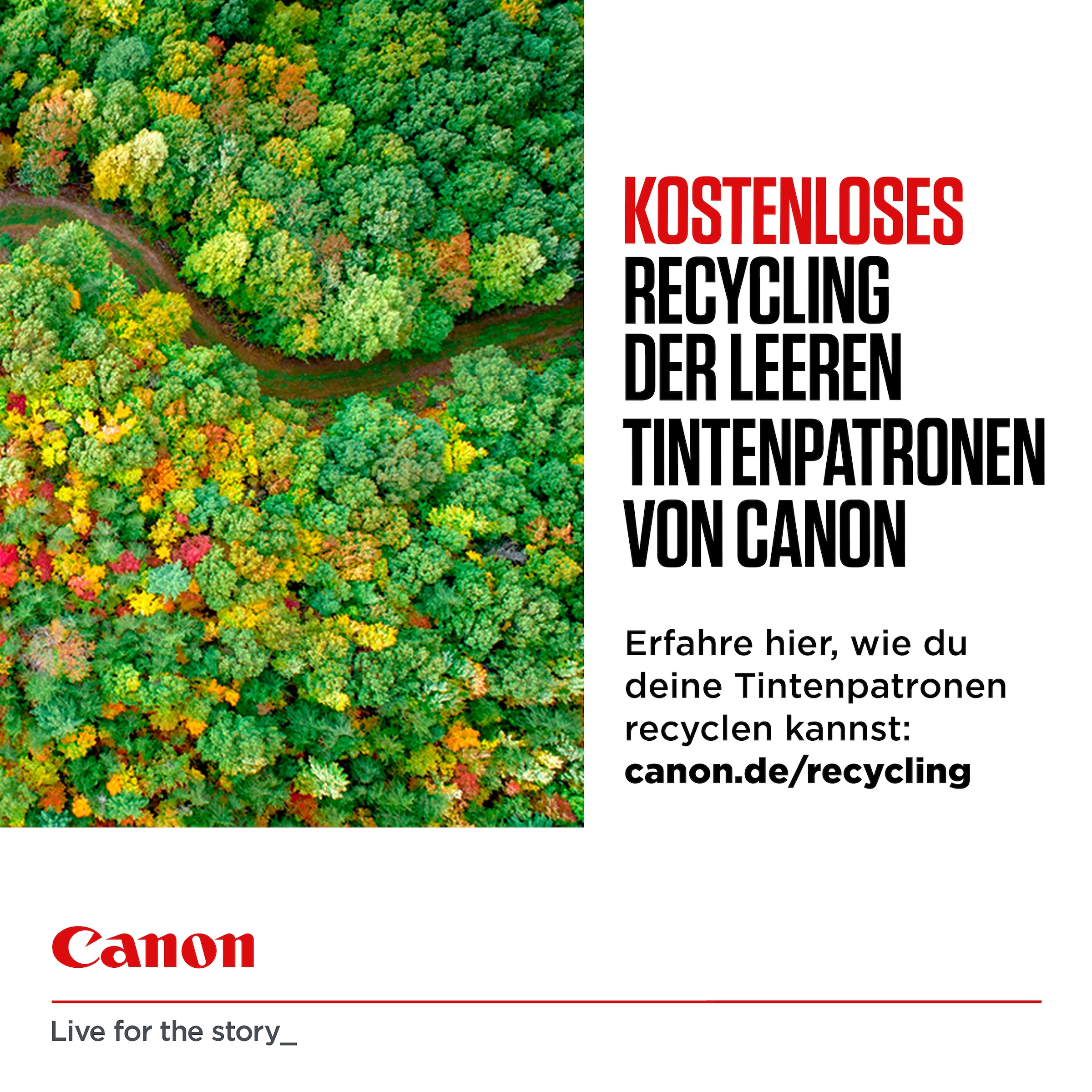 Canon Tintenpatrone »PG540L/CL541XL Photo Value Pack«