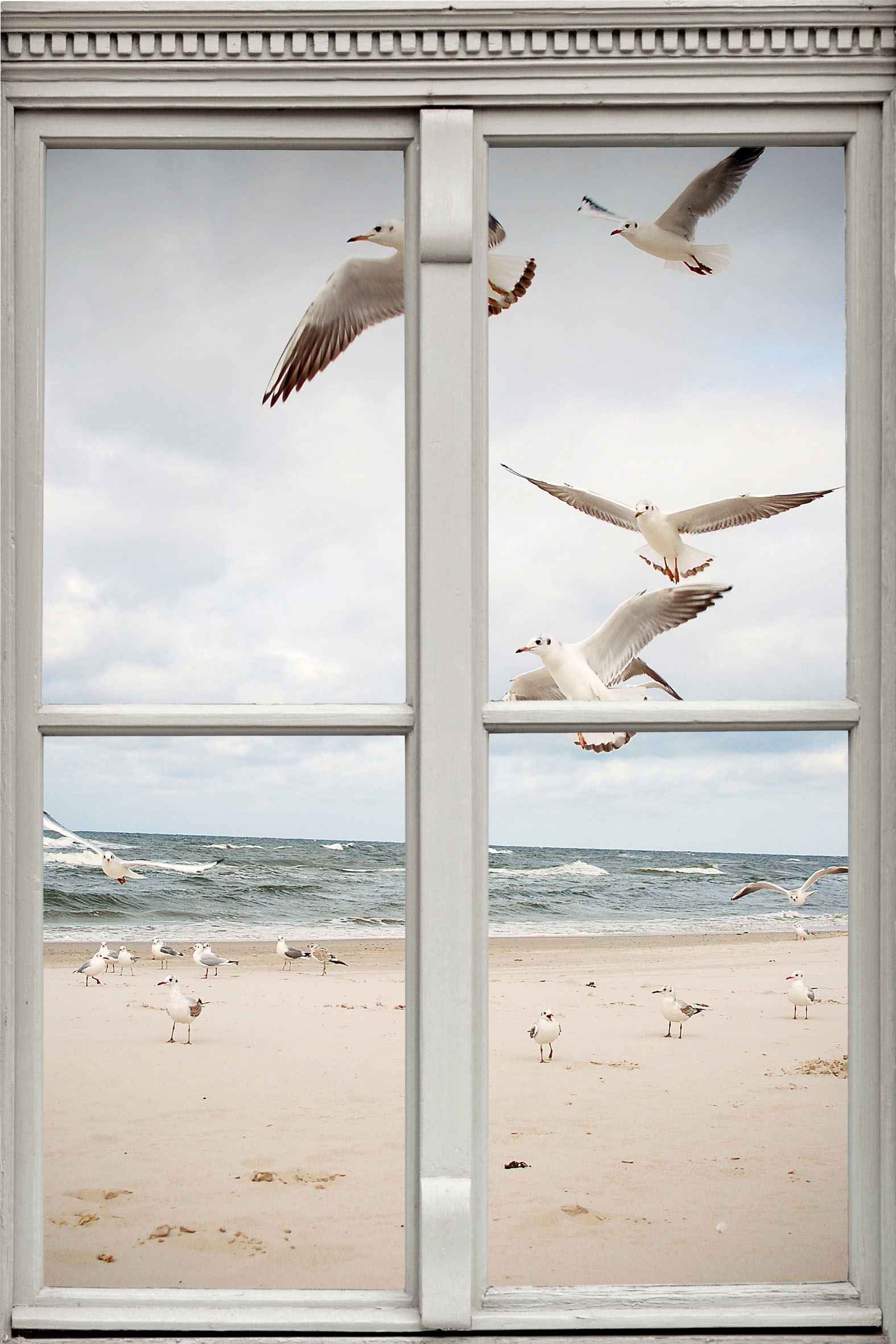 Image of queence Wandsticker "Möwen am Strand" Wandsticker, Wandbild, selbstklebend, 3D, Fenster