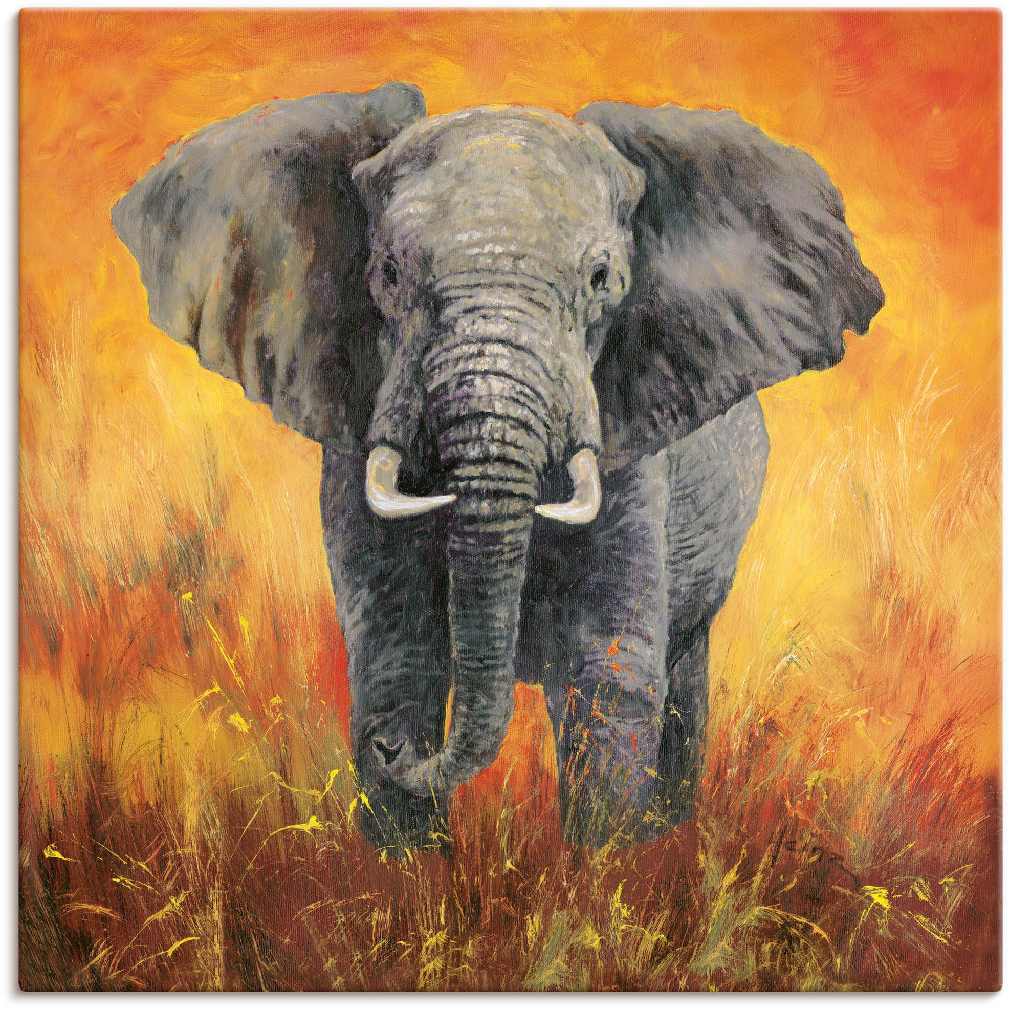 in Artland Wandbild »Porträt Elefant«, Leinwandbild, als Bilder, St.), kaufen Elefanten versch. Poster (1 jetzt Alubild, Wandaufkleber oder Grössen