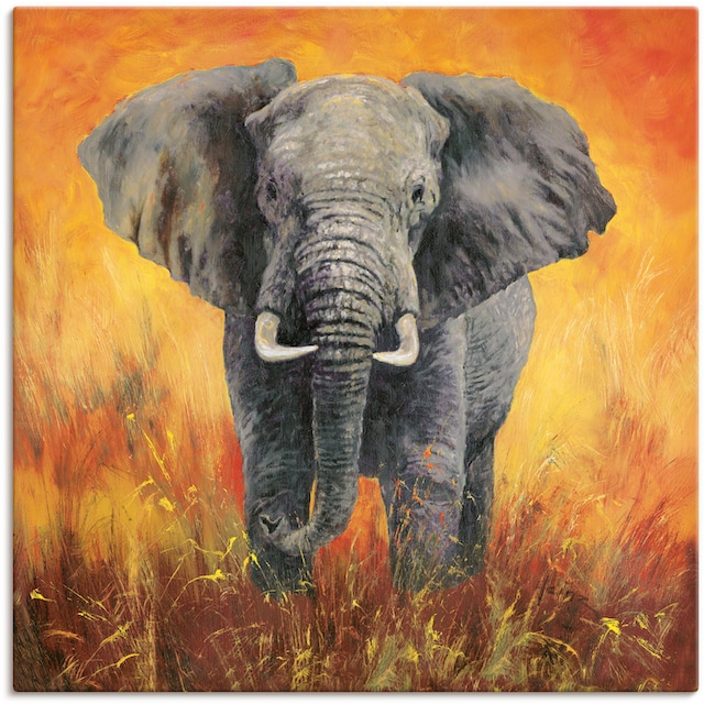 Artland Wandbild »Porträt Elefant«, Elefanten Bilder, (1 St.), als Alubild,  Leinwandbild, Wandaufkleber oder Poster in versch. Grössen jetzt kaufen