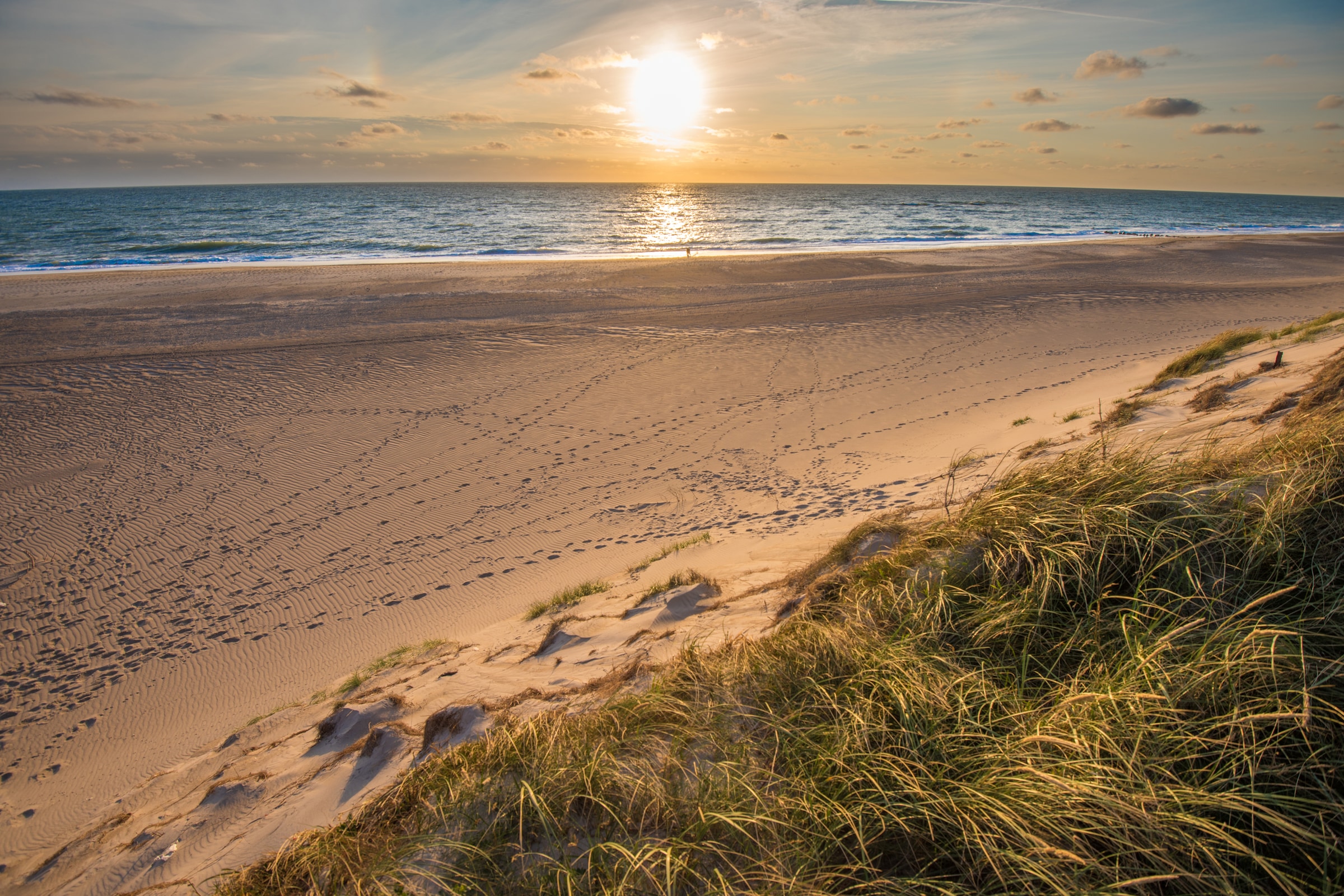 Image of Papermoon Fototapete "Dunes Beach Jutland" glatt
