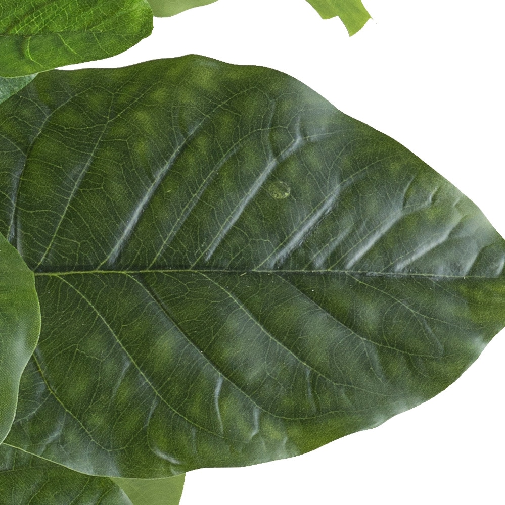 Creativ green Kunstpflanze »Ficus petiolaris«, mit grossformatigen Blättern