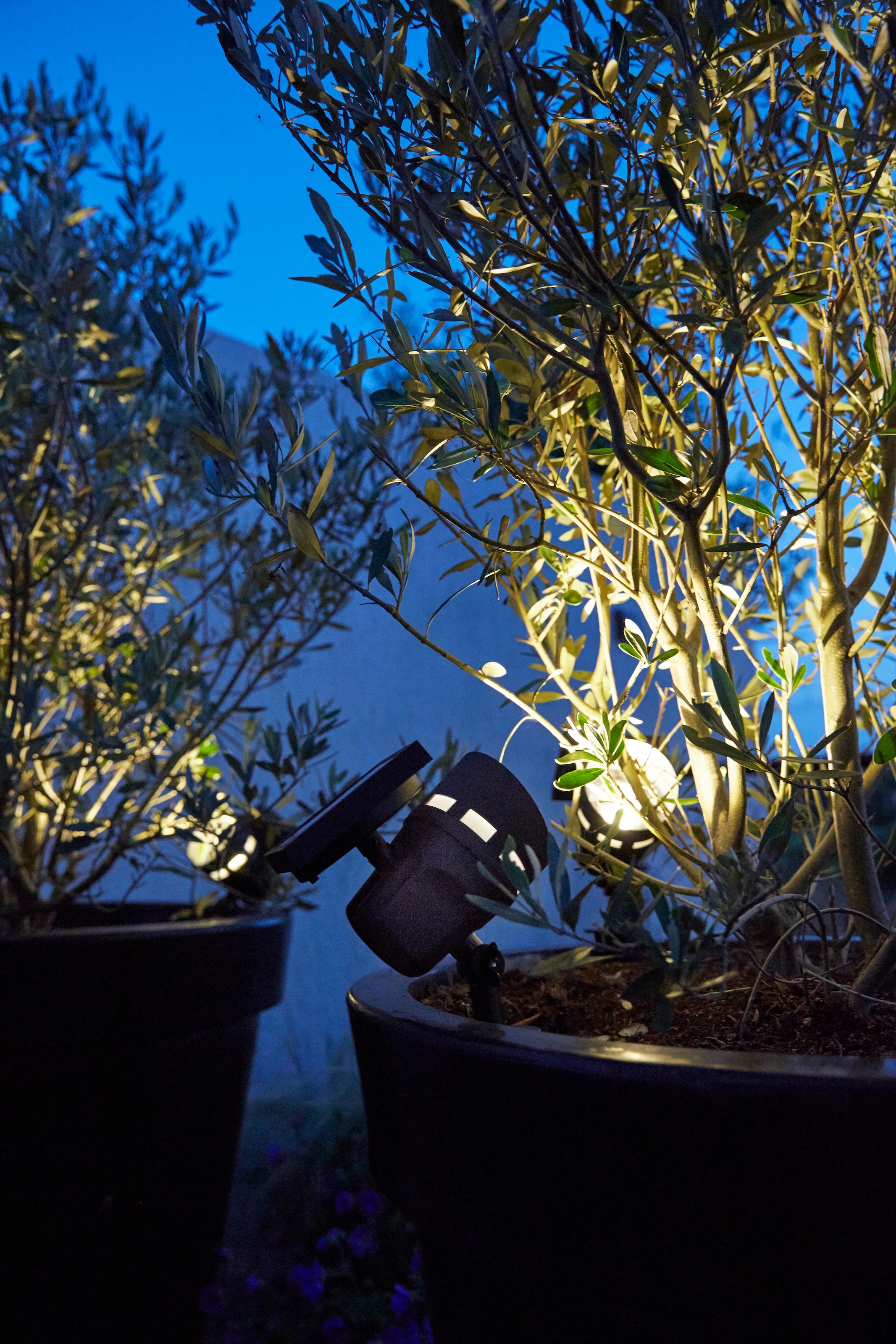 LUXFORM Gartenstrahler »Solar-Intelligente Hybrid-Erdspiessleuchte -Montana« LED-Modul 1 Stk. Für den Aussenbereich geeignet IP33