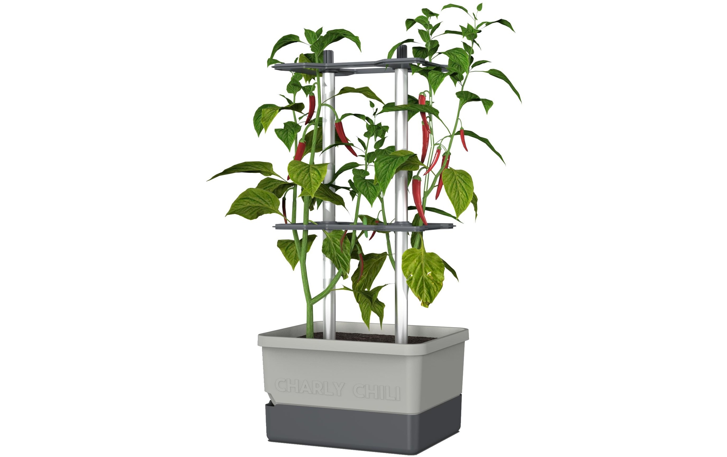 Image of Gusta Garden Anzuchttopf "hellgrau"