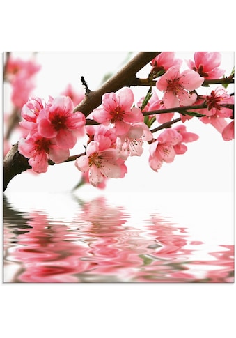Artland Glasbild »Pfirsichblüten reflektieren im Wasser«, Blumen, (1 St.) kaufen