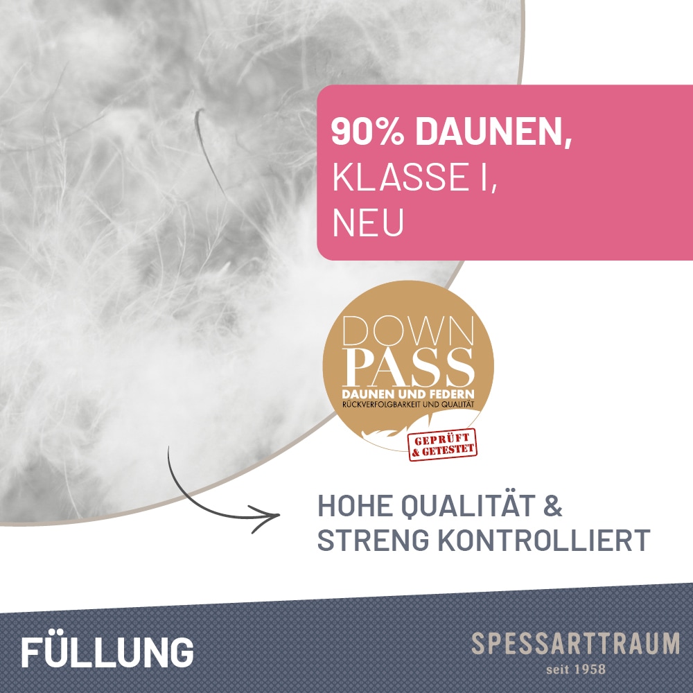 SPESSARTTRAUM Couette en duvet »Arosa Bettdecke min 135x200 cm & weitere Grössen« ultra-léger Füllung 90 % duvet & 10 % plumes 1 cuis tlg. Couette hiver, été, Made in Germany