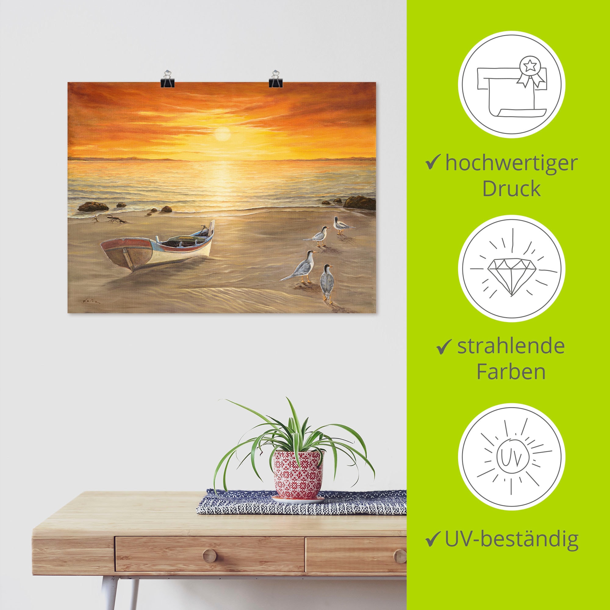 Artland Fresque murale »Möwen« 1 cuis tlg. als Alubild, Leinwandbild, Poster in verschied. Grössen