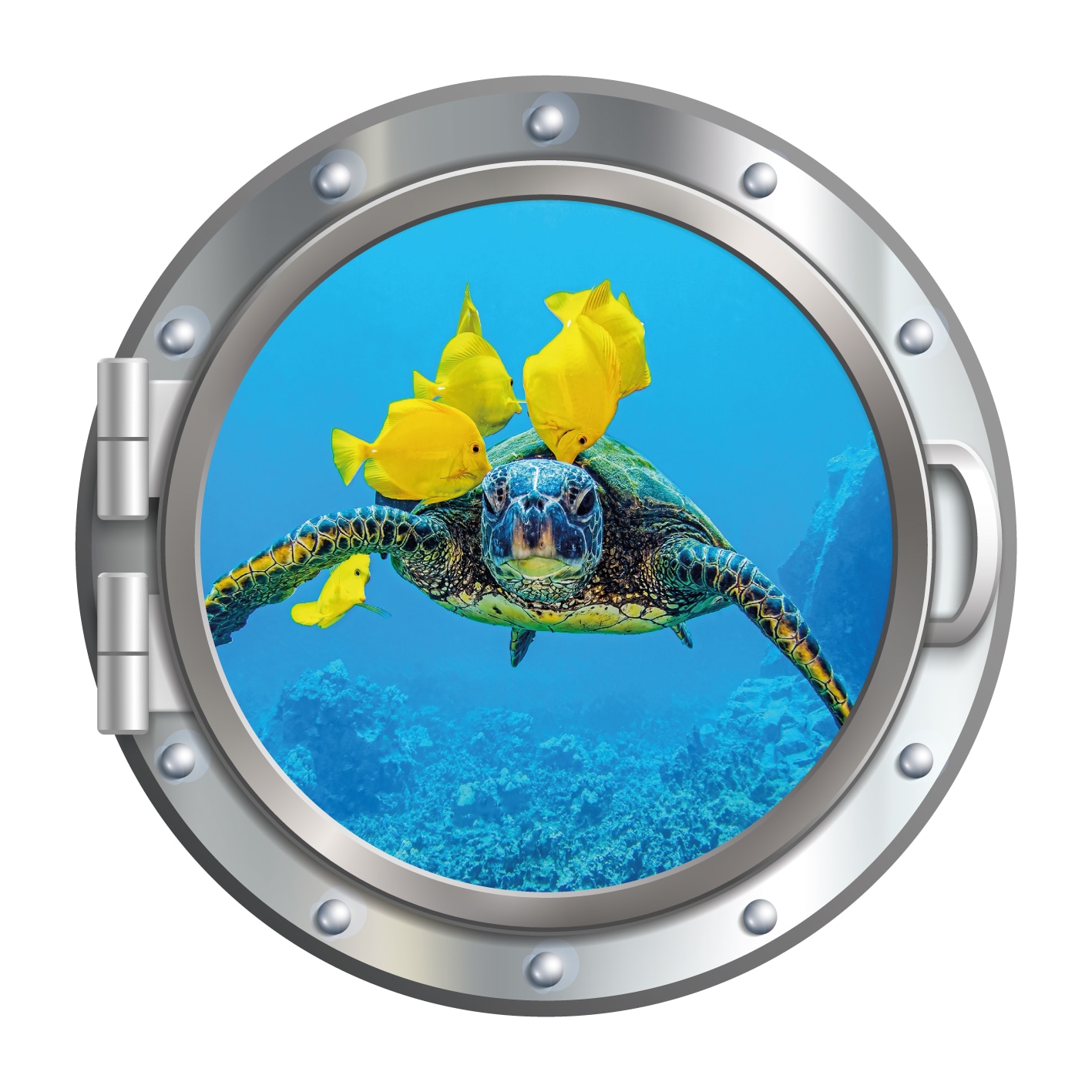 queence Wandsticker »3D Bullauge Illusion Unterwasserwelt Schildkröte 40x40 cm« Selbstklebender Wanddurchbruch Unterwasser