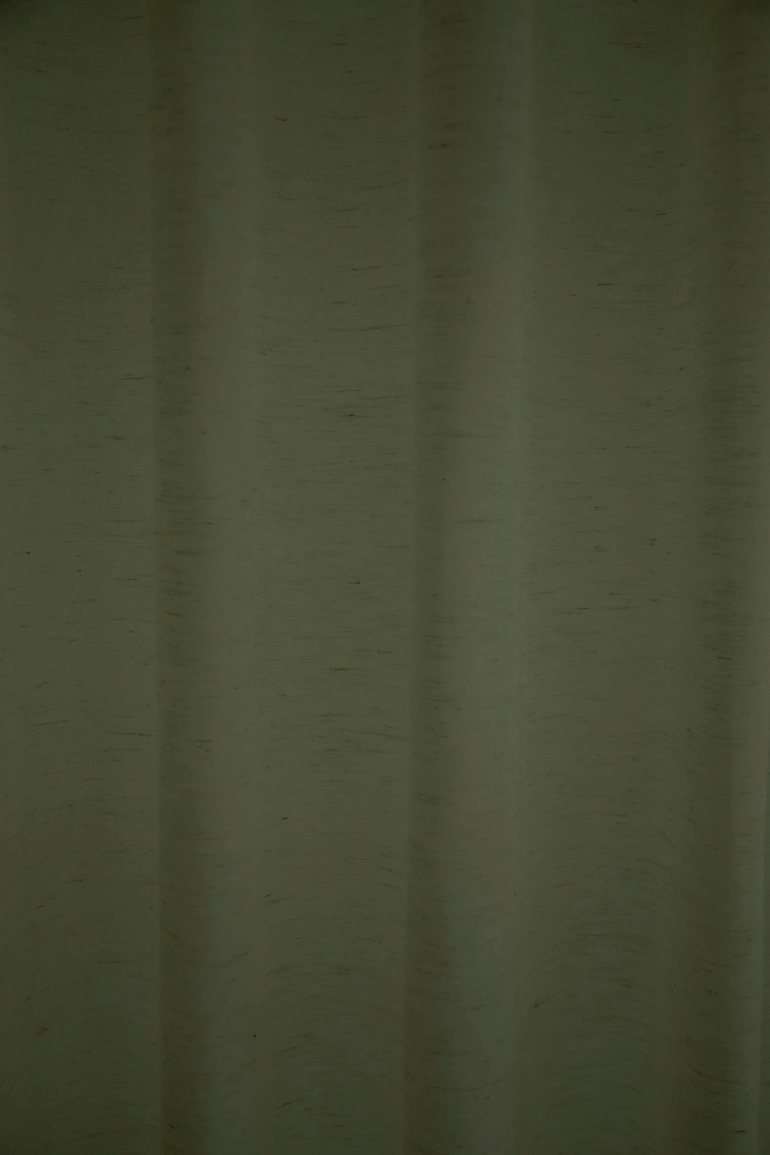 HOMING Vorhang »Lian« verdeckte Schlaufen 1 Stk. tlg. Vorhang Lian