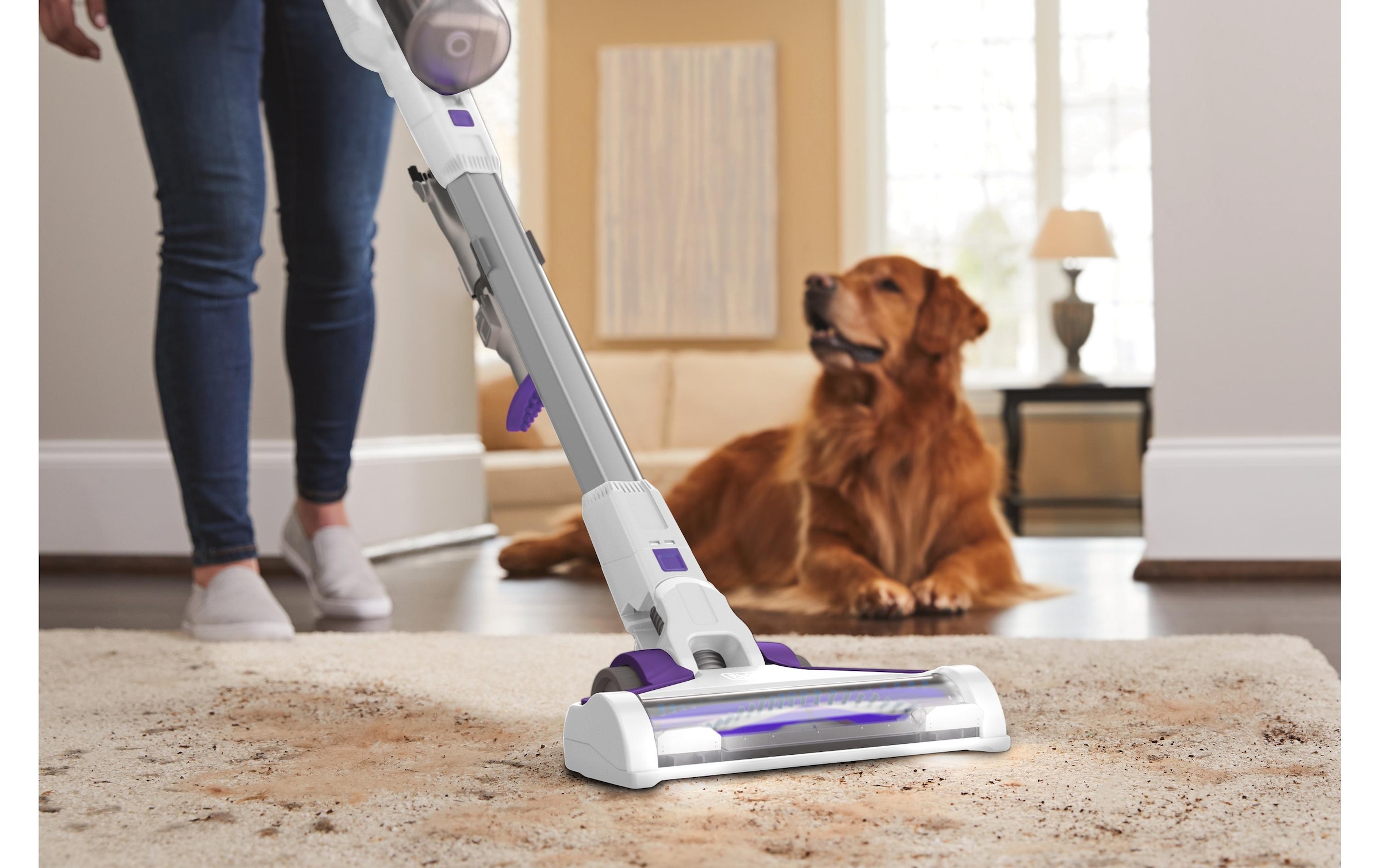 Black + Decker Akku-Hand-und Stielstaubsauger »Pet 4in1«