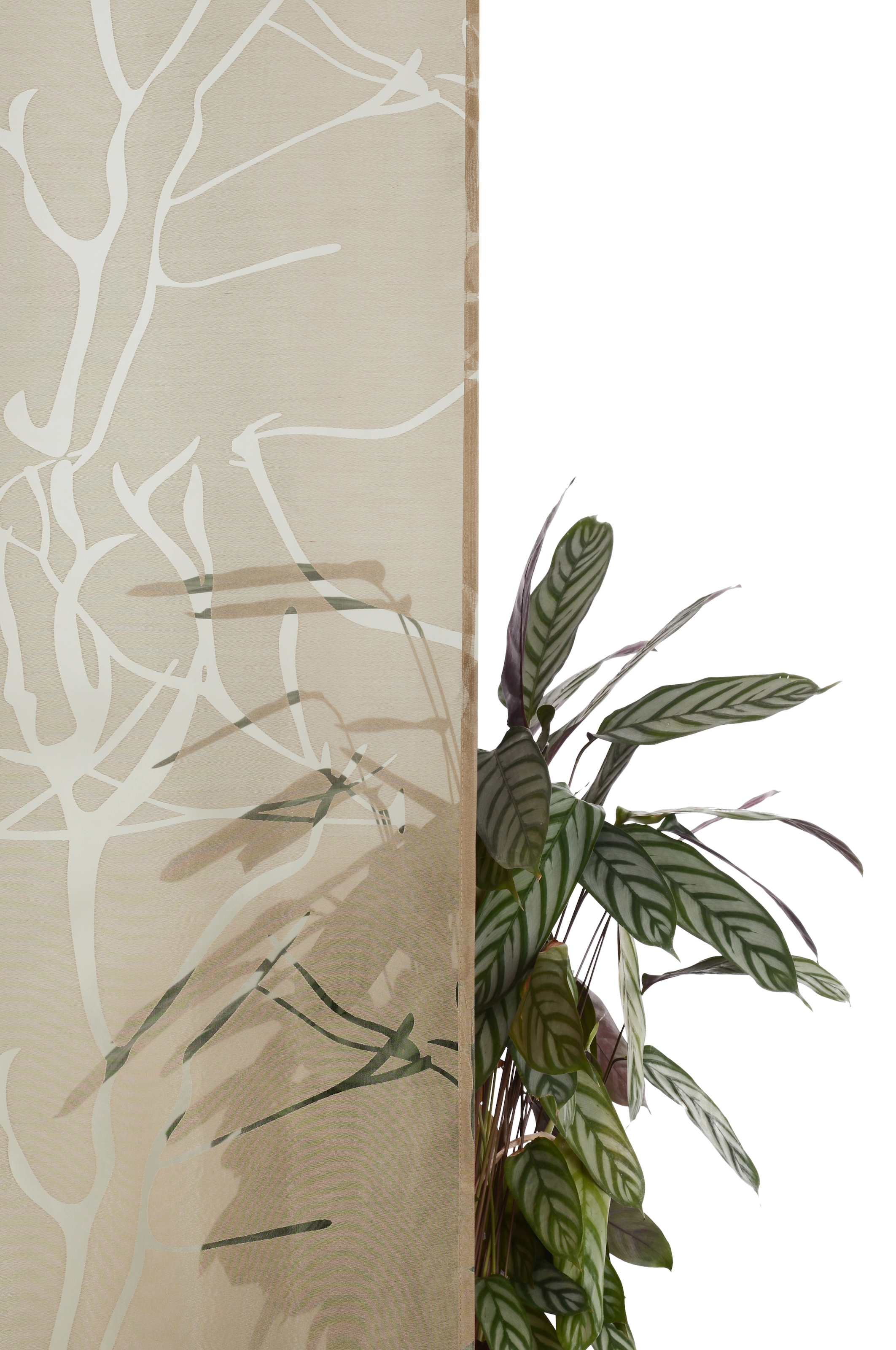 GOODproduct Rideau »Anna, 1 Stück, halbtransparent, Äste-Motiv« Œillet 1 cuis tlg. bestseller, motif branches, viscose, polyester