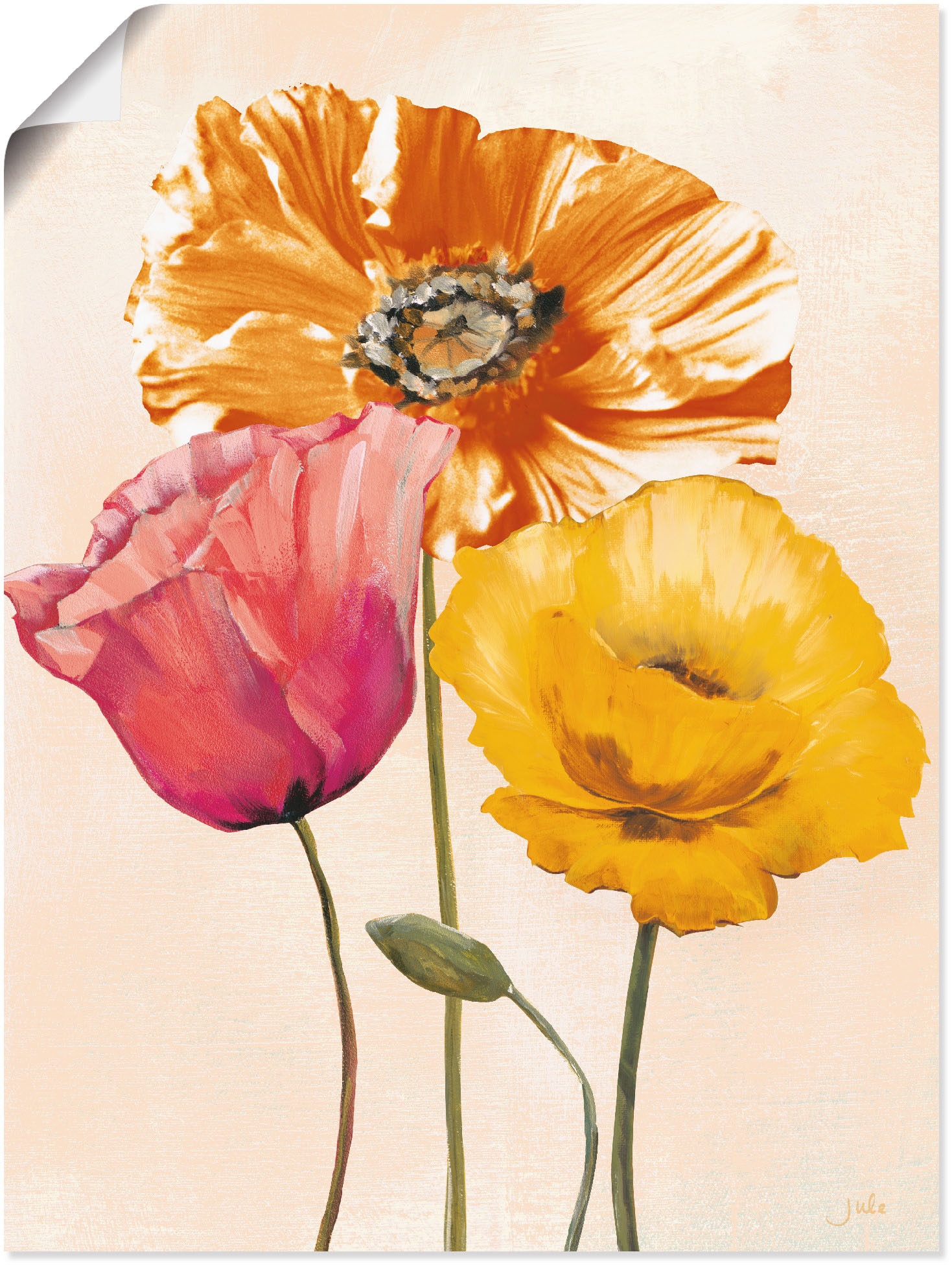 Image of Artland Wandbild "Bunte Mohnblumen II" Blumenbilder 1 Stk. tlg. als Leinwandbild, Poster in verschied. Grössen