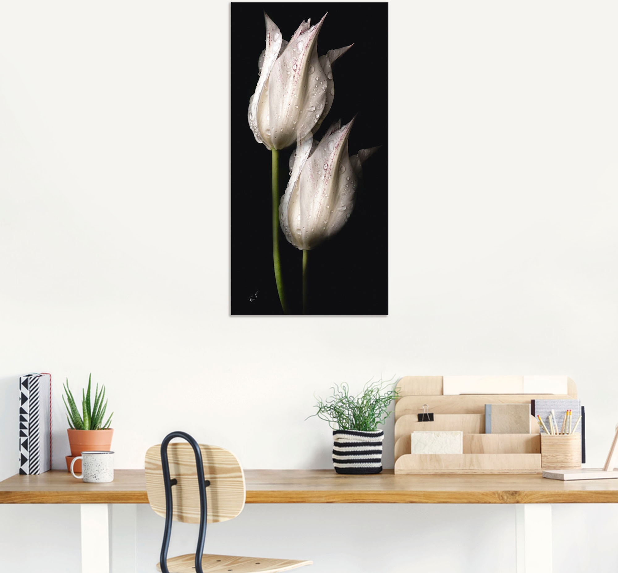 Artland Wandbild »Weisse Tulpen in der Nacht«, Blumenbilder, (1 St.), als Alubild, Outdoorbild, Leinwandbild, Poster, Wandaufkleber