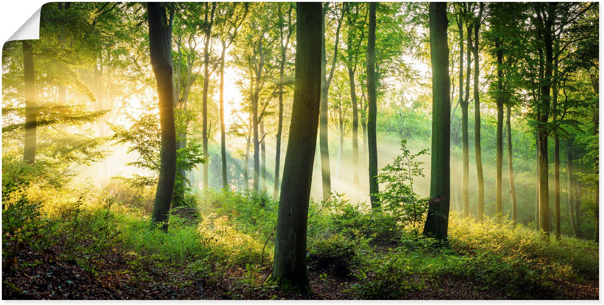 Image of Artland Wandbild "Herbst im Wald II" Waldbilder 1 Stk. tlg. als Alubild, Leinwandbild, Poster in verschied. Grössen