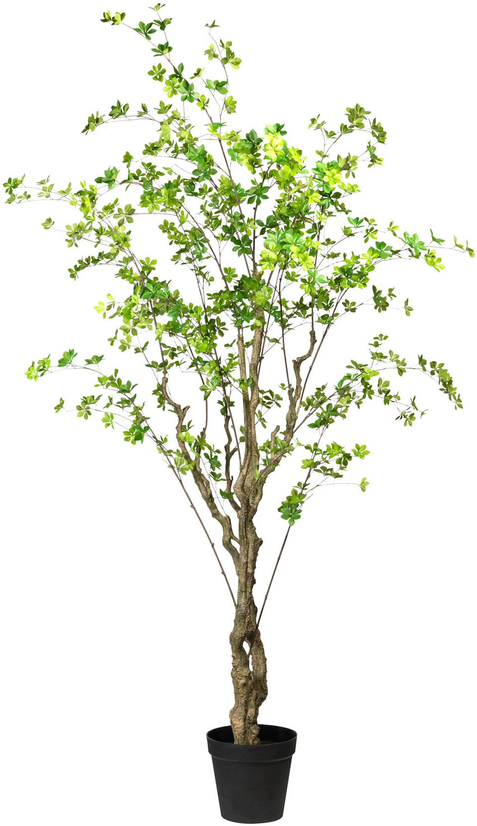 Creativ green jetzt kaufen Kunstbaum »Louisiana-Baum«