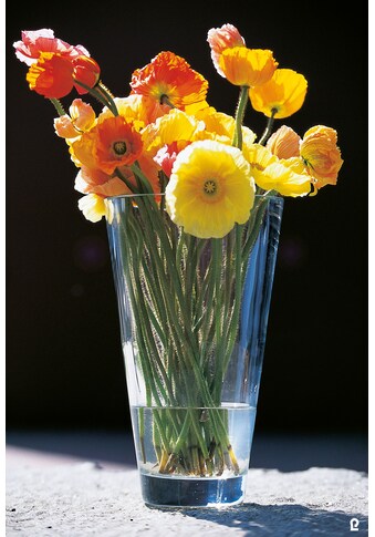 Lambert Tischvase »Emma«, (1 St.), Vase aus Bistroglas kaufen