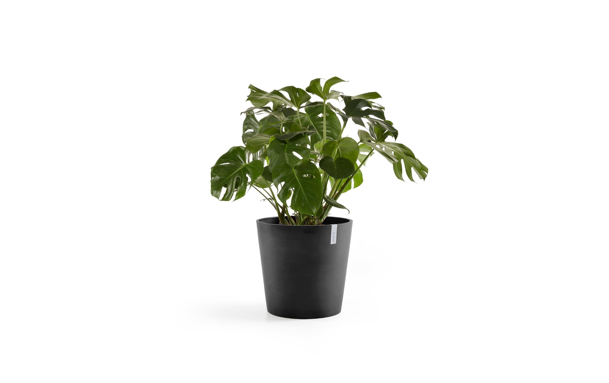 Image of ECOPOTS Blumentopf "Amsterdam"