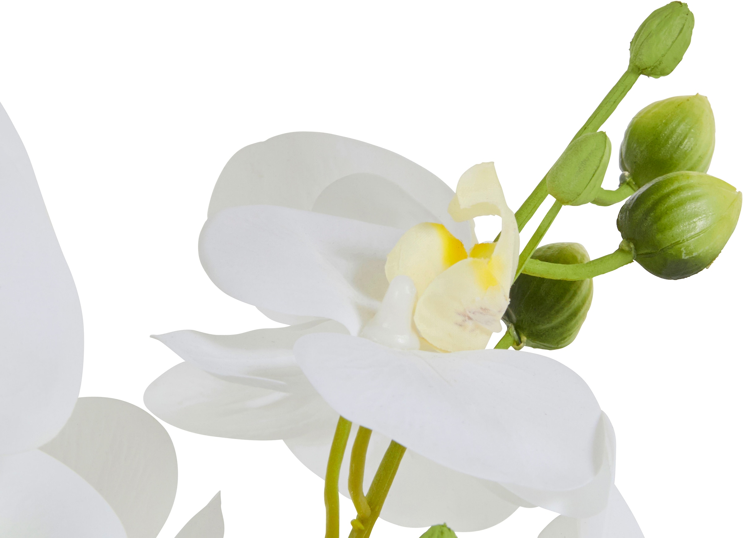 Guido Maria Kretschmer Home&Living Kunstorchidee »Voguish«, Kunstpflanze, im Topf aus Keramik