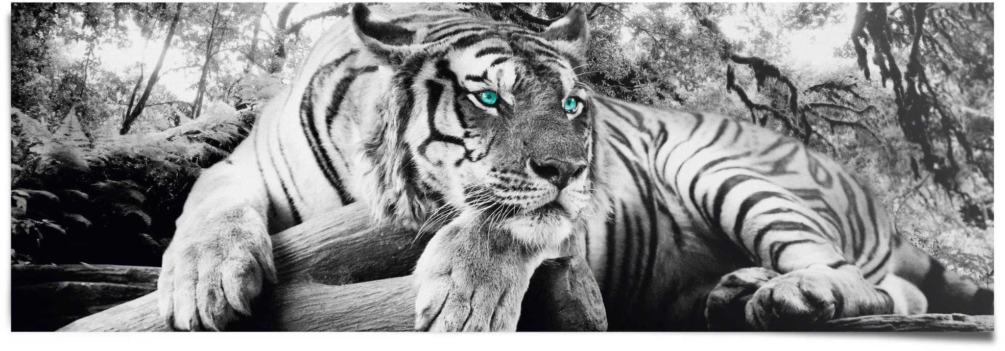 Image of Reinders! Poster »Tigerblick«, (1 St.) bei Ackermann Versand Schweiz