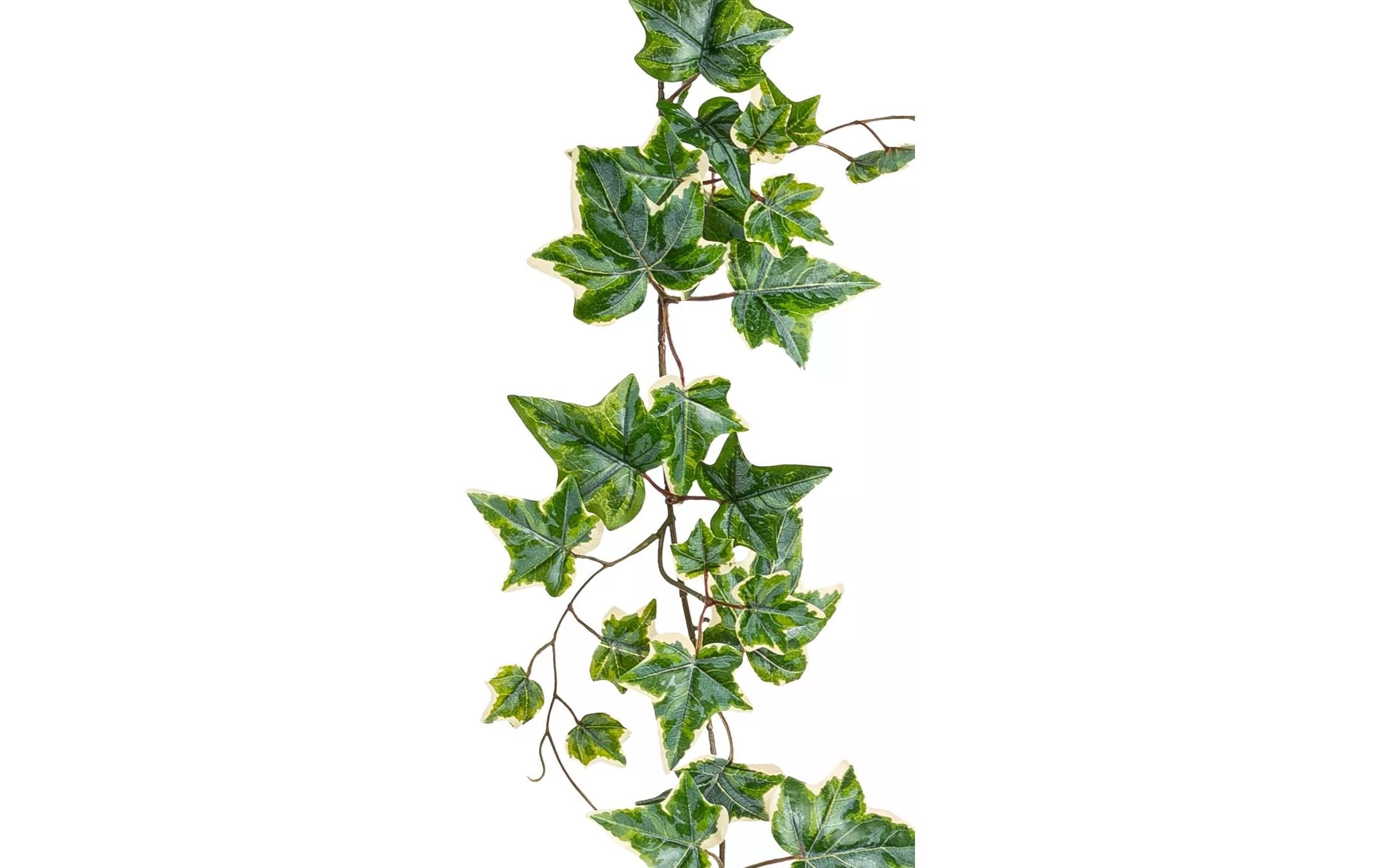 Kunstblume »Dekomat AG Efeugirlande 150 cm«