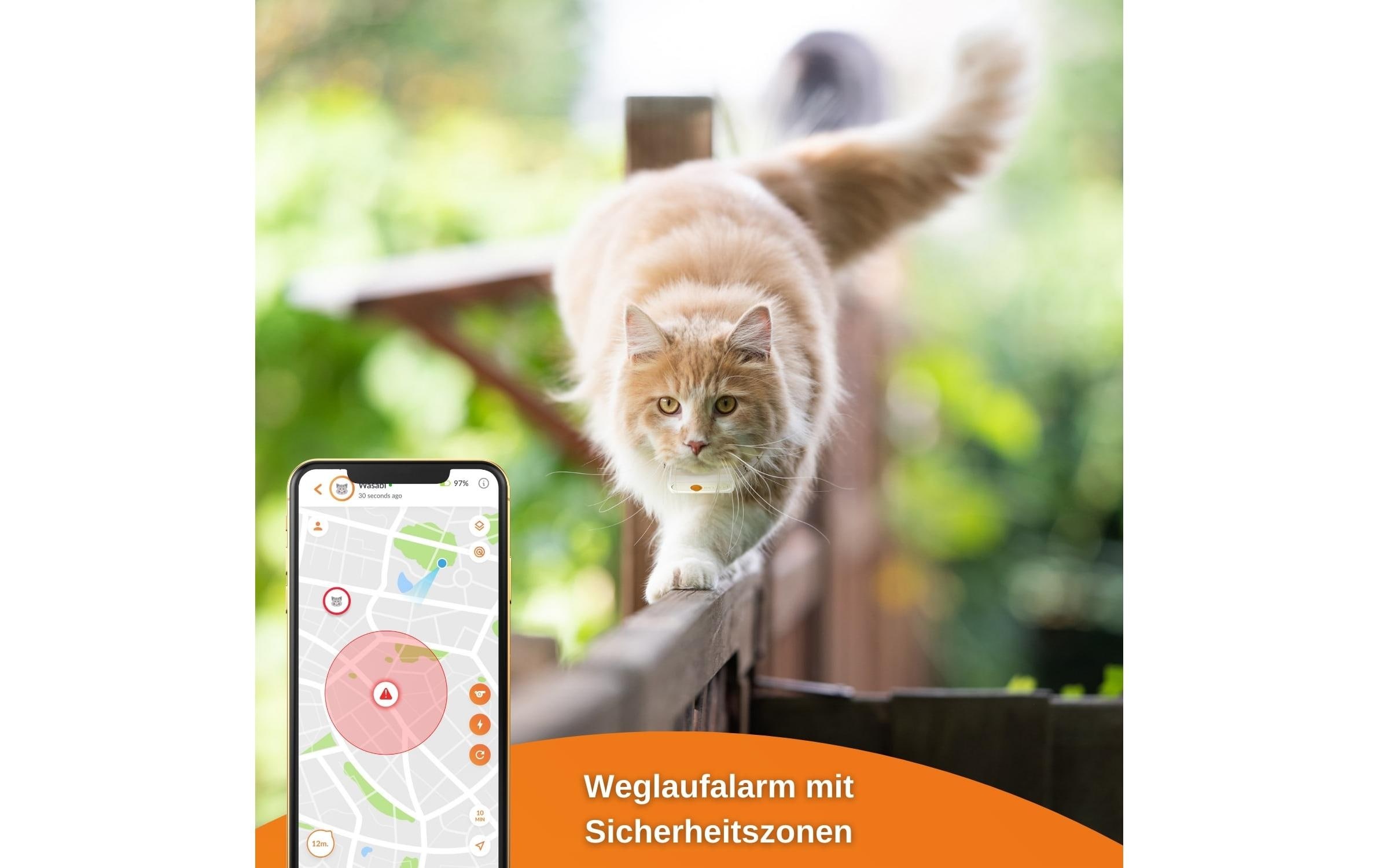 GPS-Tracker »Weenect XS für Katzen Weiss«