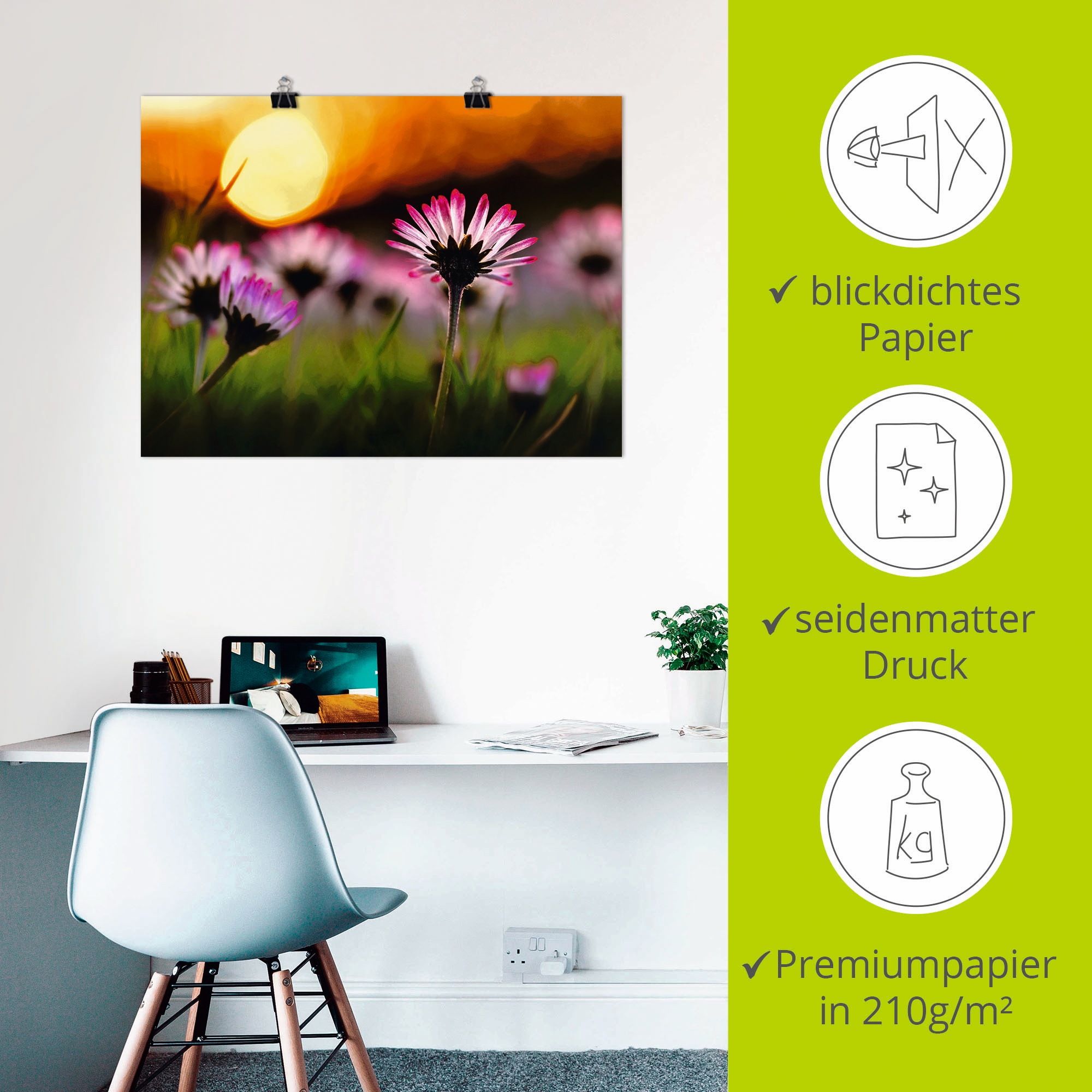 Artland Poster »Gänseblümchen im Sonnenuntergang«, Blumenwiese, (1 St.), als Alubild, Leinwandbild, Wandaufkleber oder Poster in versch. Grössen