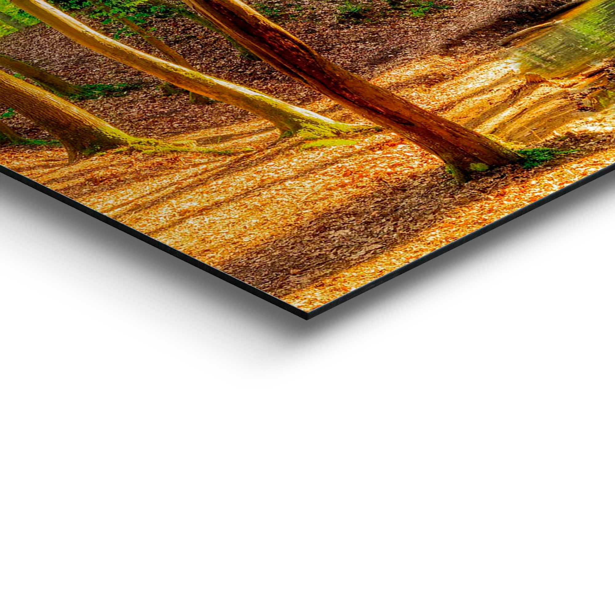 Reinders! Deco-Panel »Sonniger Wald«