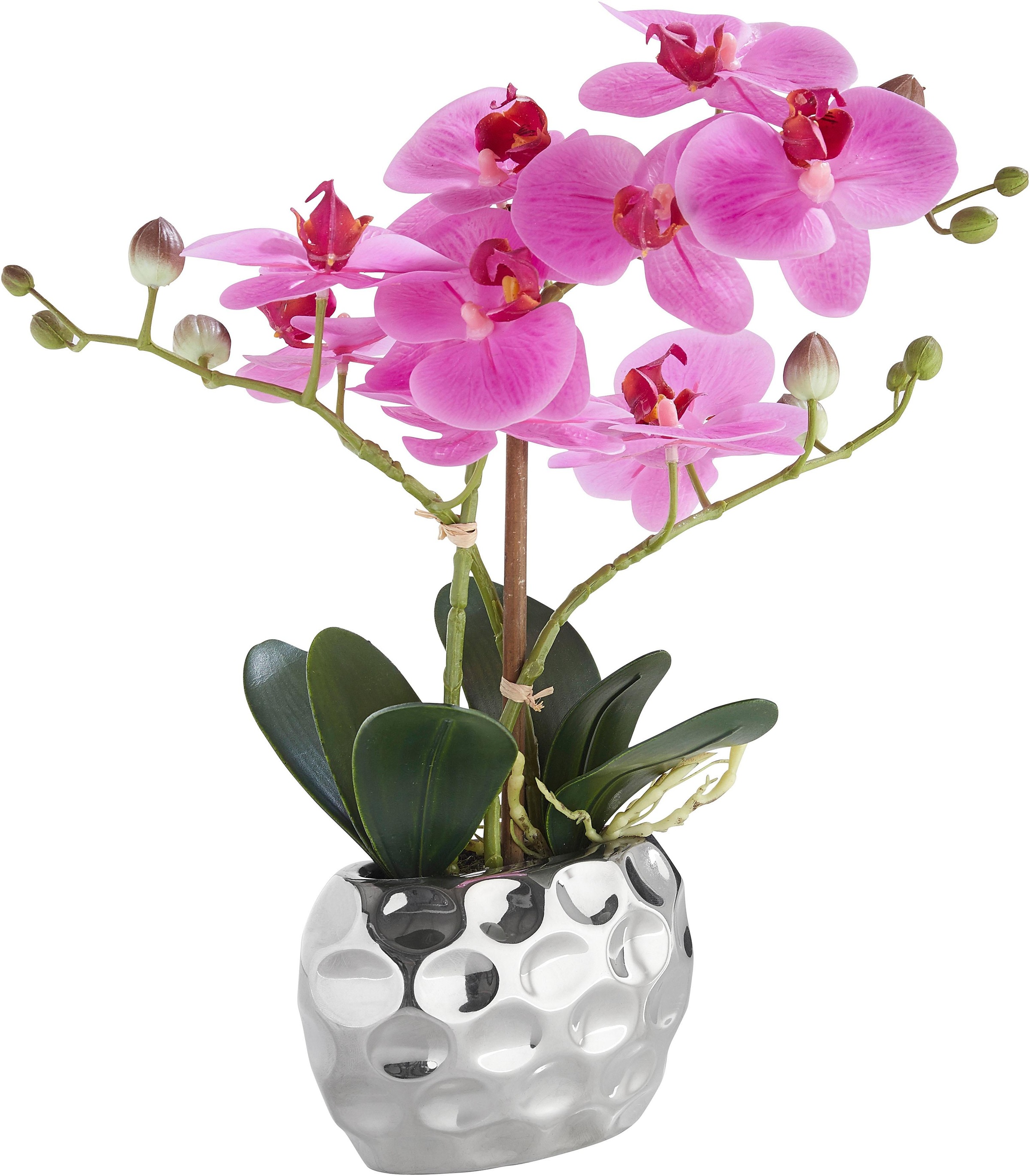 Image of Leonique Kunstpflanze »Orchidee«, (1 St.), Kunstorchidee, im Topf bei Ackermann Versand Schweiz