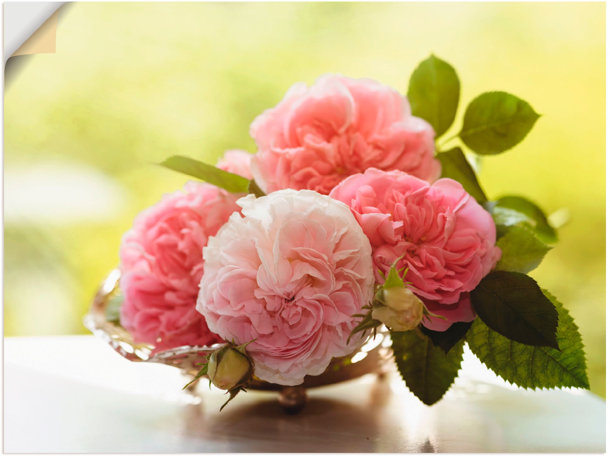 Image of Artland Wandbild »Rosen in Silberschale Stillleben«, Blumen, (1 St.), in vielen Grössen & Produktarten -Leinwandbild, Poster, Wandaufkleber / Wandtattoo auch für Badezimmer geeignet bei Ackermann Versand Schweiz