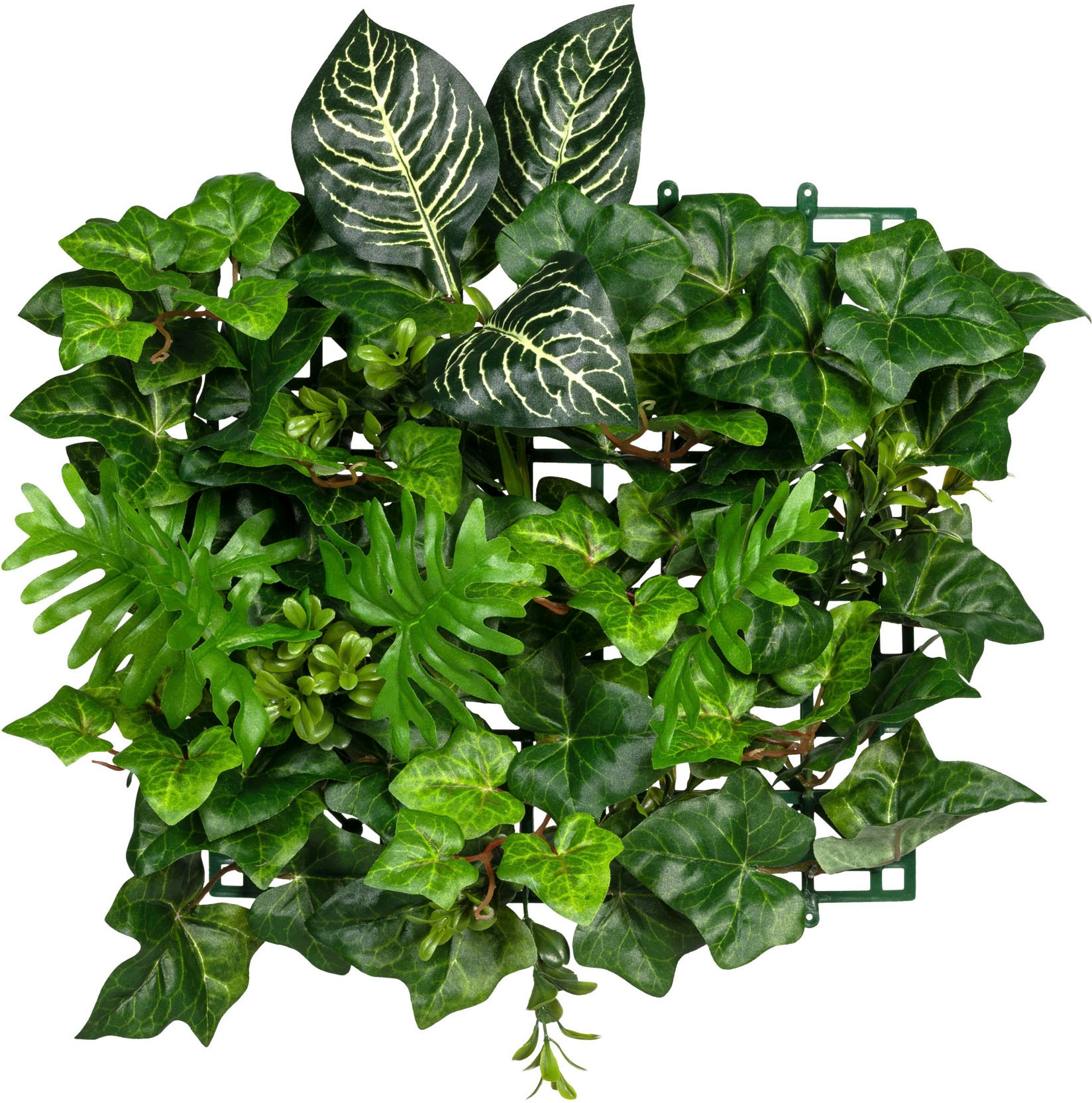 Creativ green Künstliche Zimmerpflanze »Blättermatte Set 2er Philo-Efeumix«, kaufen jetzt