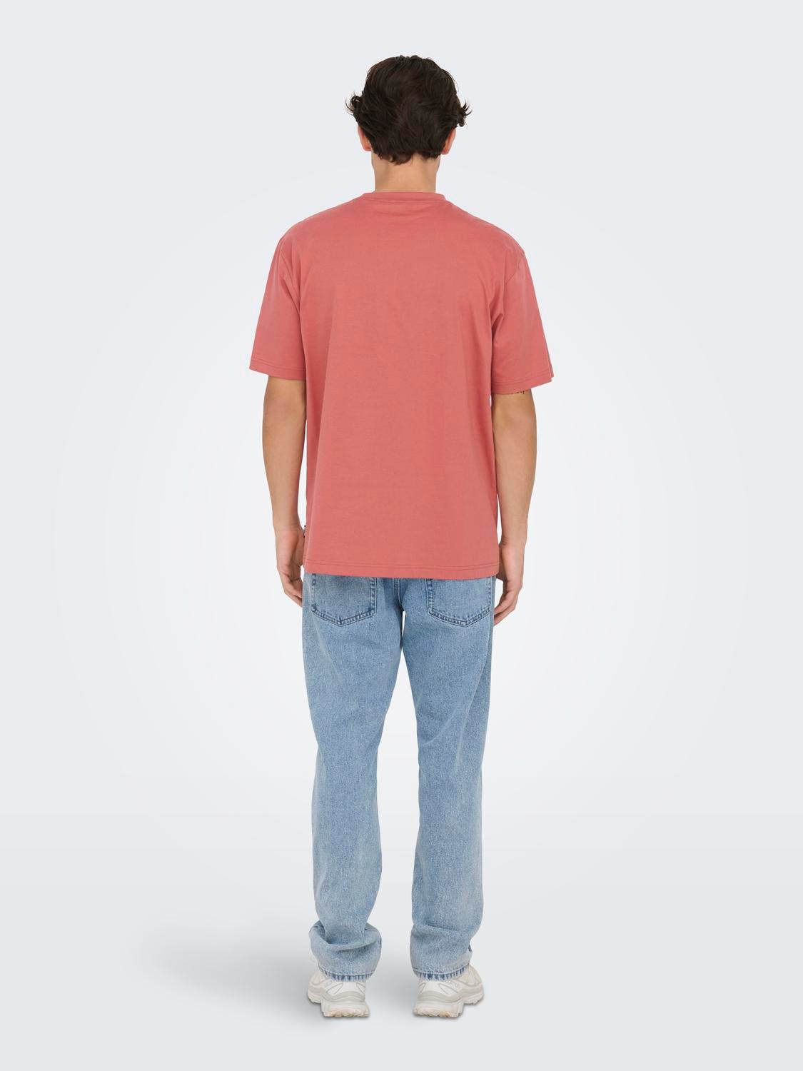 ONLY & SONS Rundhalsshirt »ONSFRED RLX SS TEE«