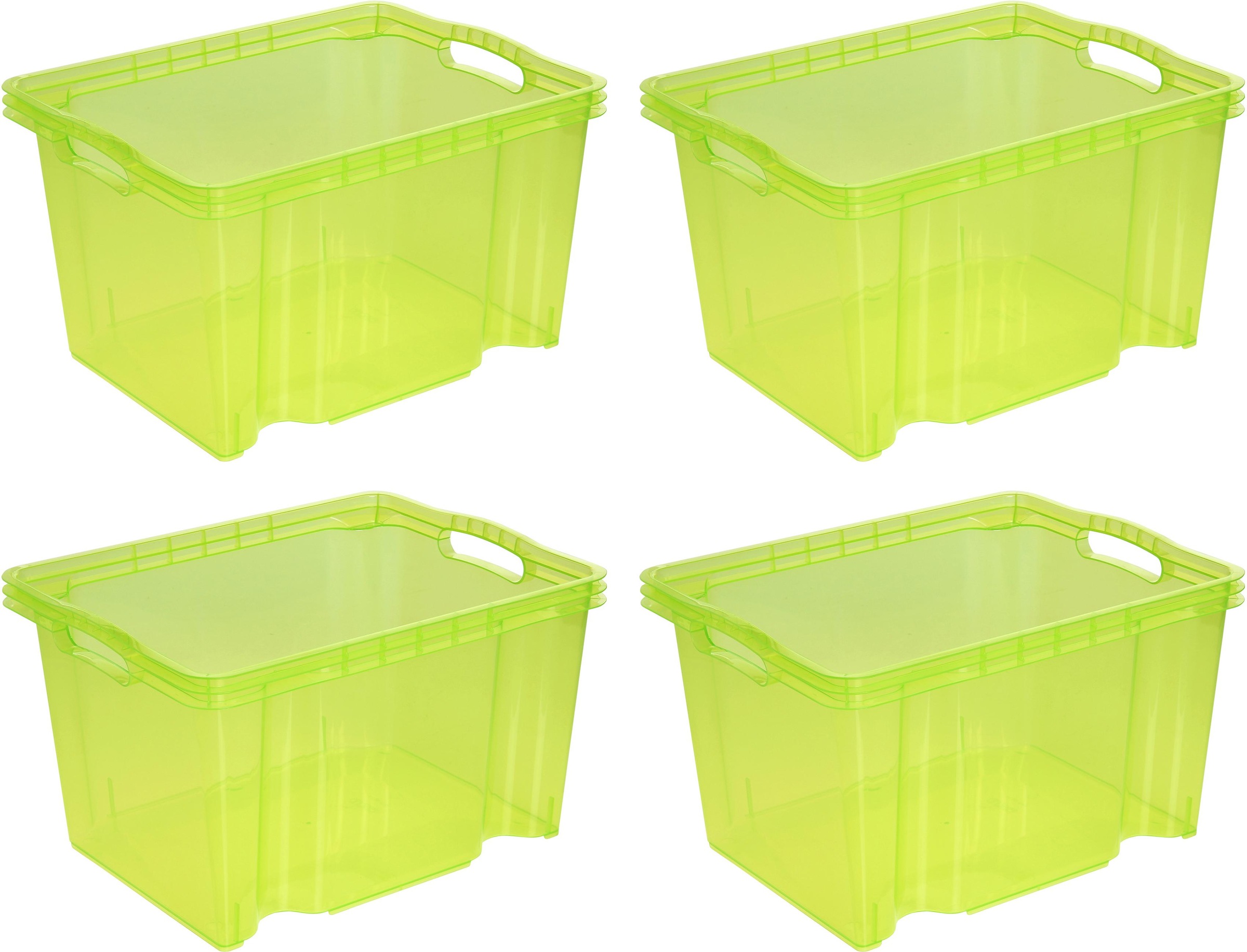 Image of keeeper Organizer "franz" Aufbewahrungsbox, 13,5 L, hochwertiger Kunststoff