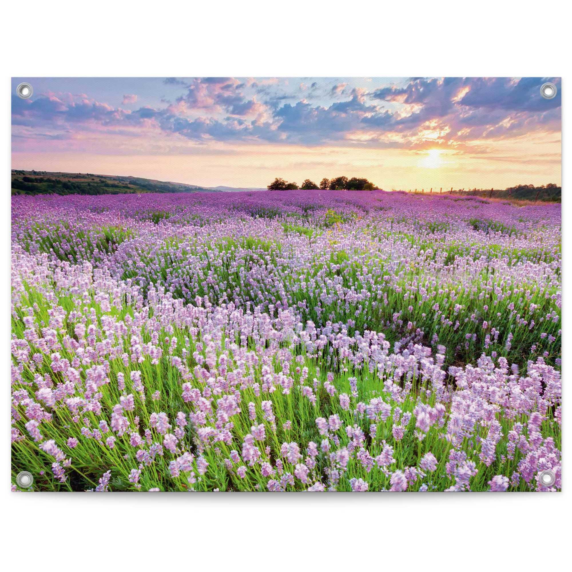 Image of Reinders Poster "Lavender Field" Garten - Landschaft - Natur - Lila - Leinwand - 80x60 cm