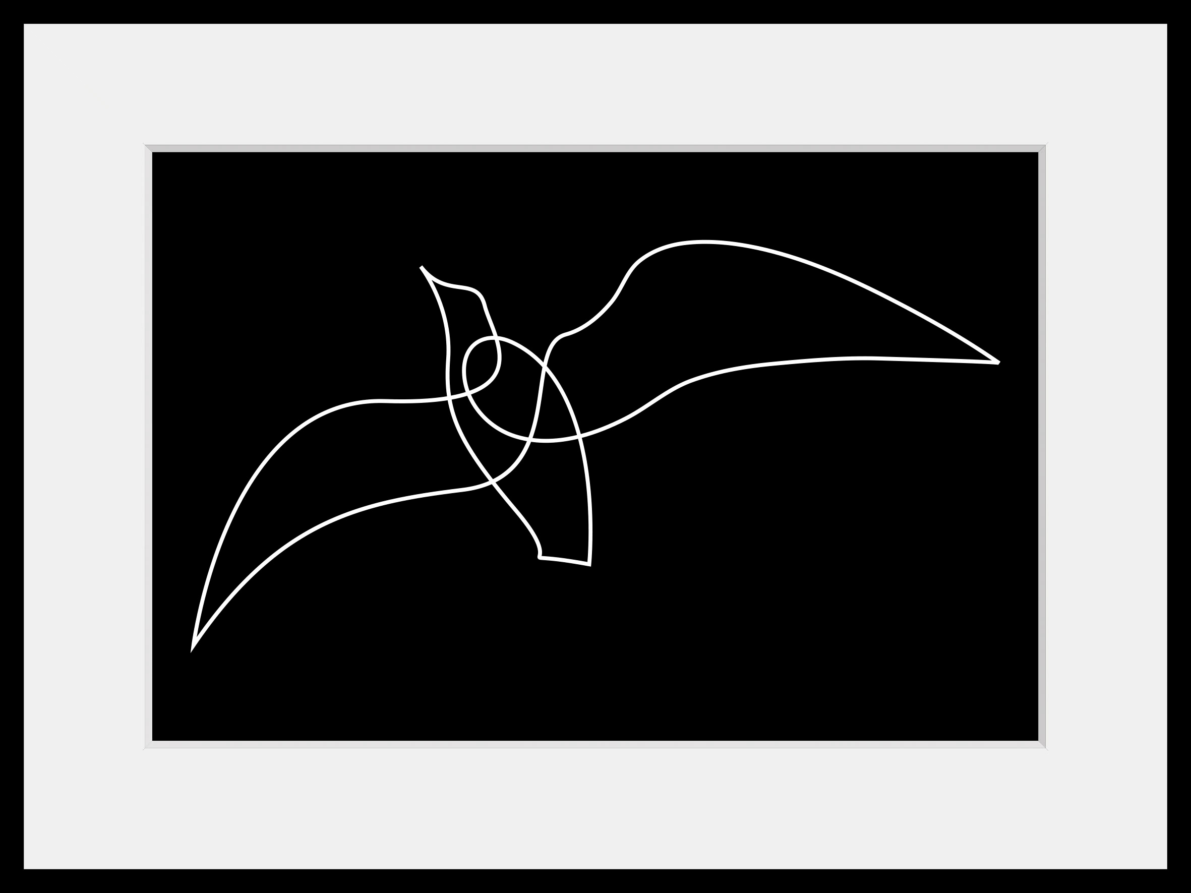 queence Bild »Marvin« Kunst | Papageien | Schwarz-Weiss | Vogelbilder | Vögel 1 Stk. tlg. HD Premium Poster-Druck inkl. Holzrahmen