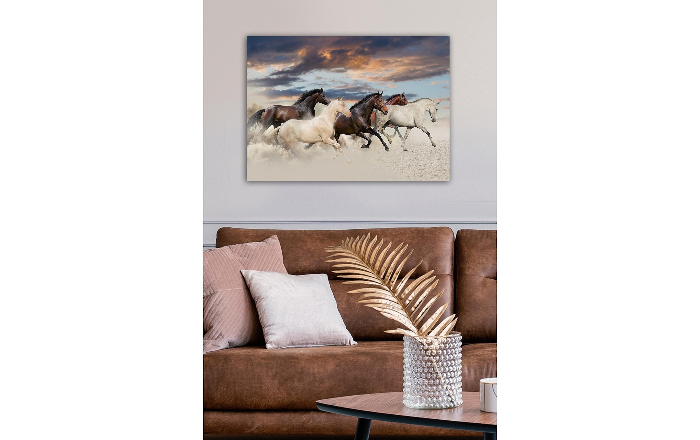 Wandbild »Wallxpert Pferde 50 x 70 cm«