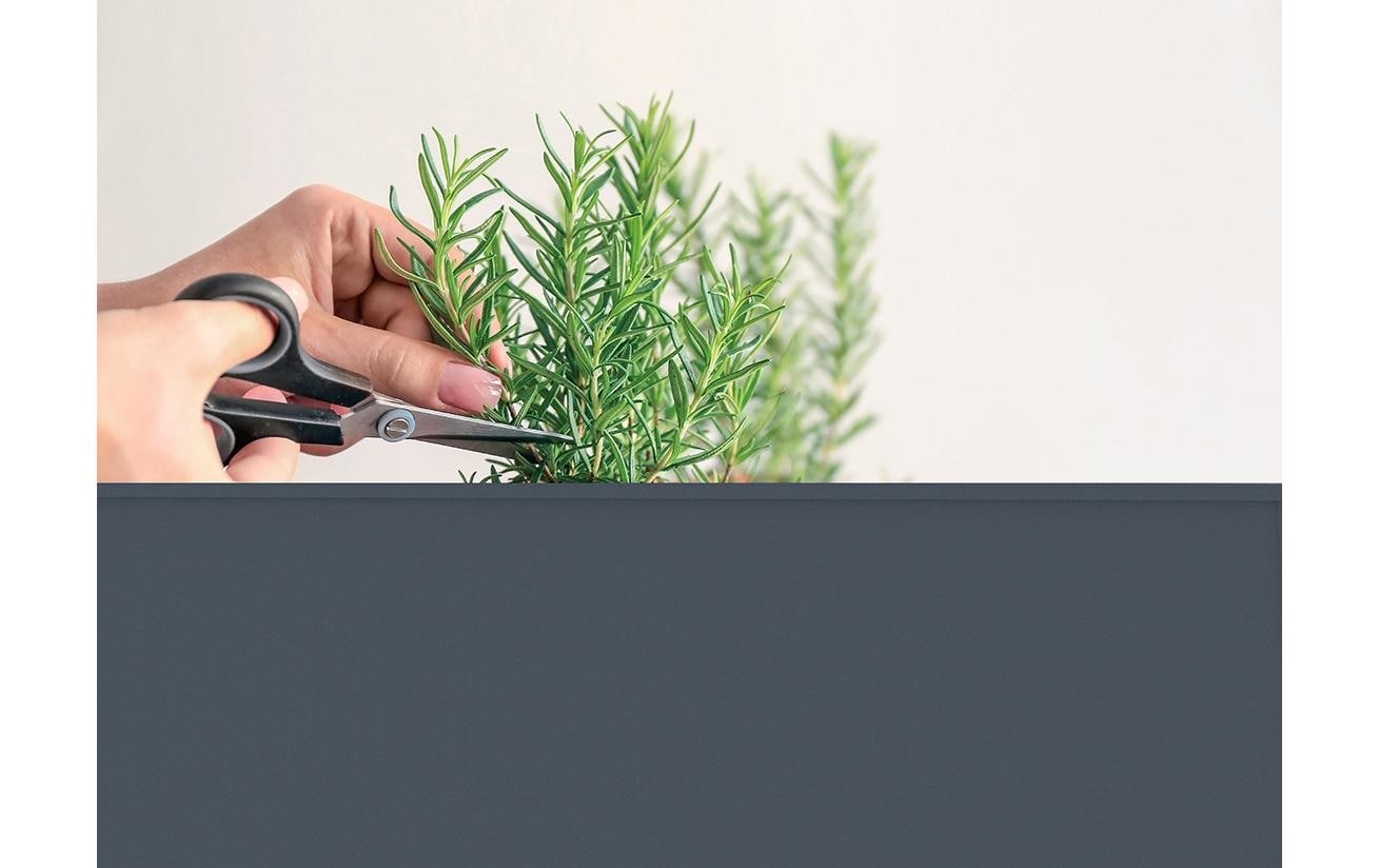 Herstera Garden Hochbeet »Urban« BxTxH: 75x35x80 cm