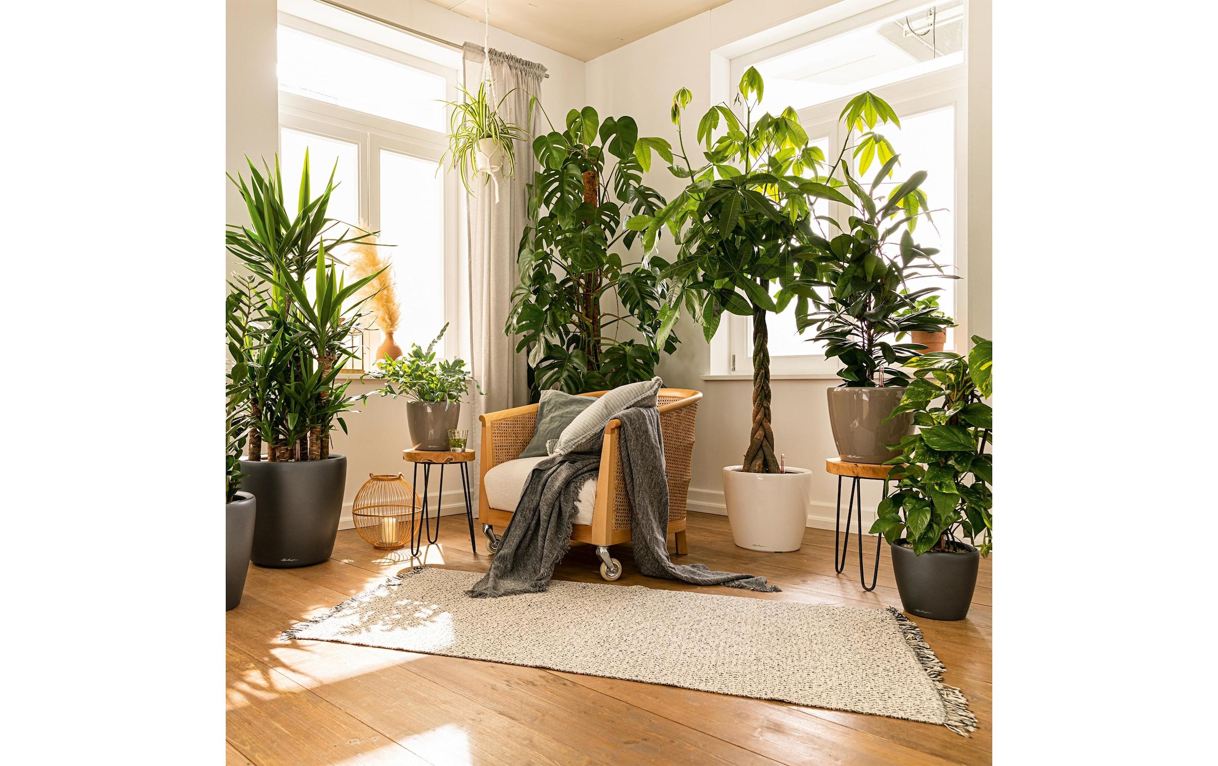   Blumentopf »Lechuza CLASSICO Premium LS 43«