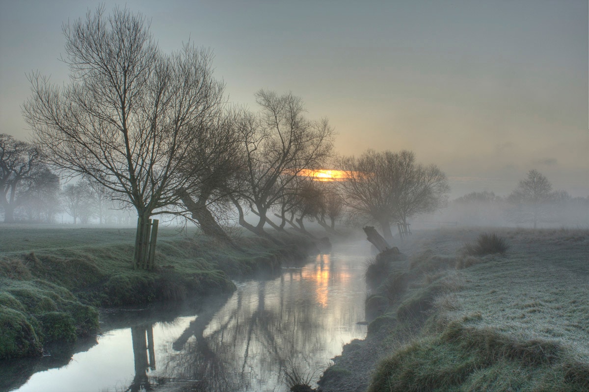 Image of Papermoon Fototapete "Nebel Landschaft"