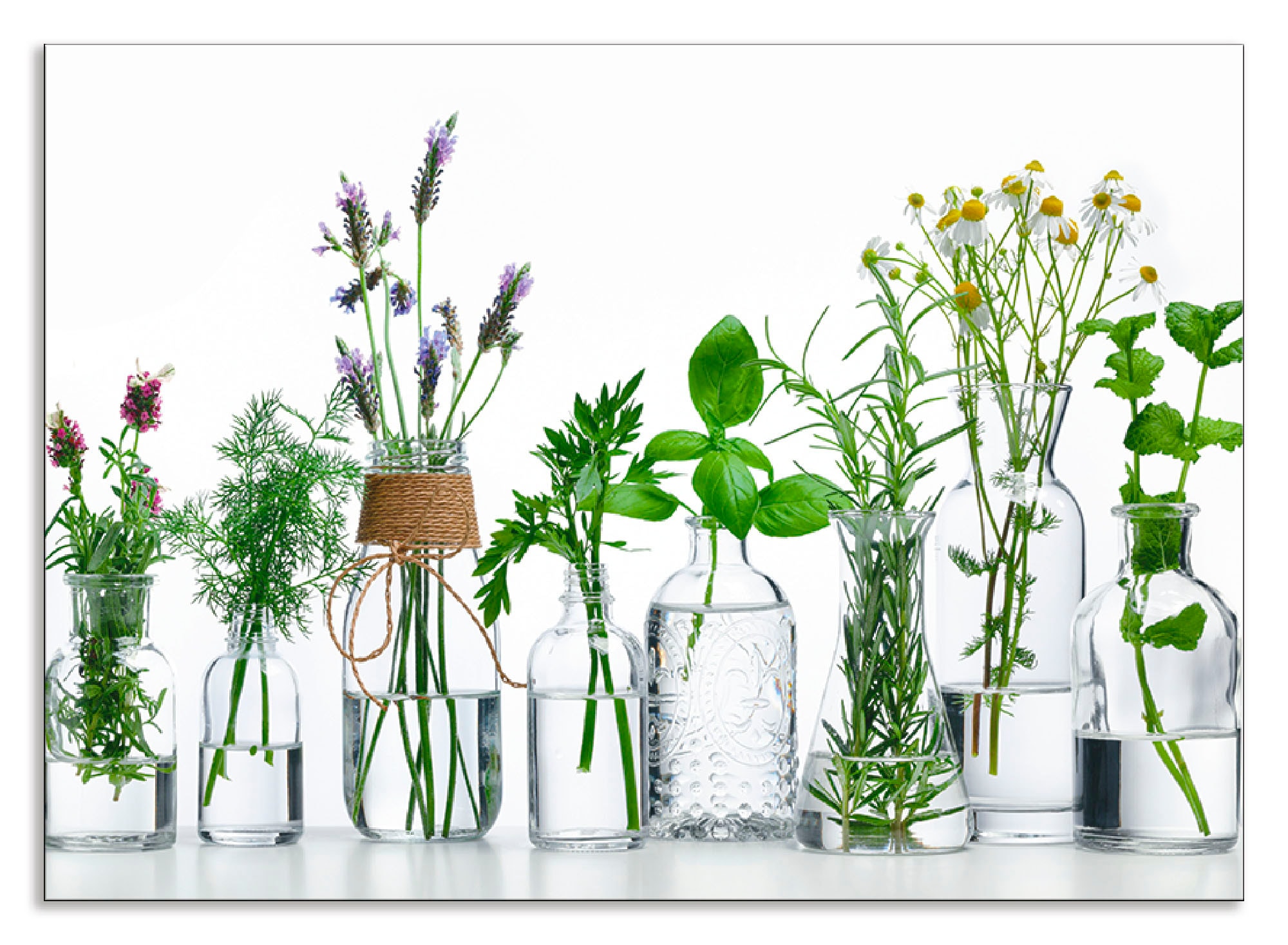 Image of Artland Küchenrückwand "Öle mit Kräutern" Alu Spritzschutz mit Klebeband, einfache Montage