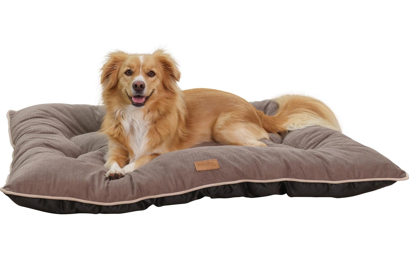 Kerbl Hundematte »Hunde-Liegematte Benno«