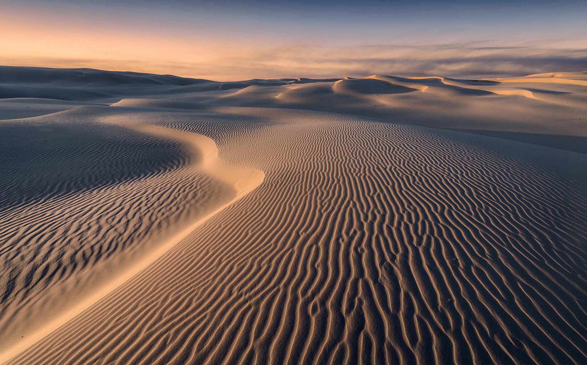 Image of Komar Fototapete »Glowing Lines«, mehrfarbig-natürlich-bedruckt bei Ackermann Versand Schweiz