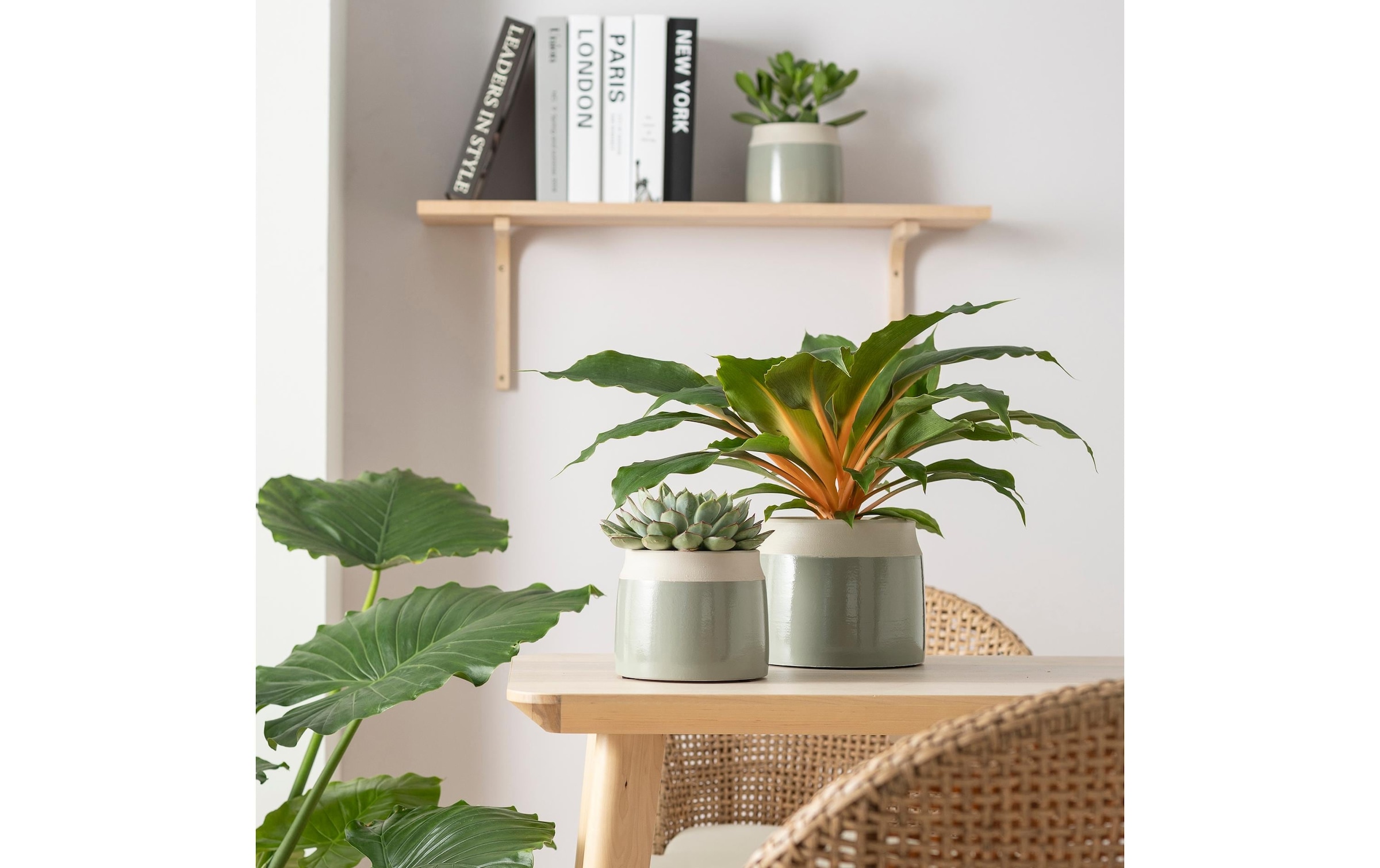 Scheurich Blumentopf »Verde 717«
