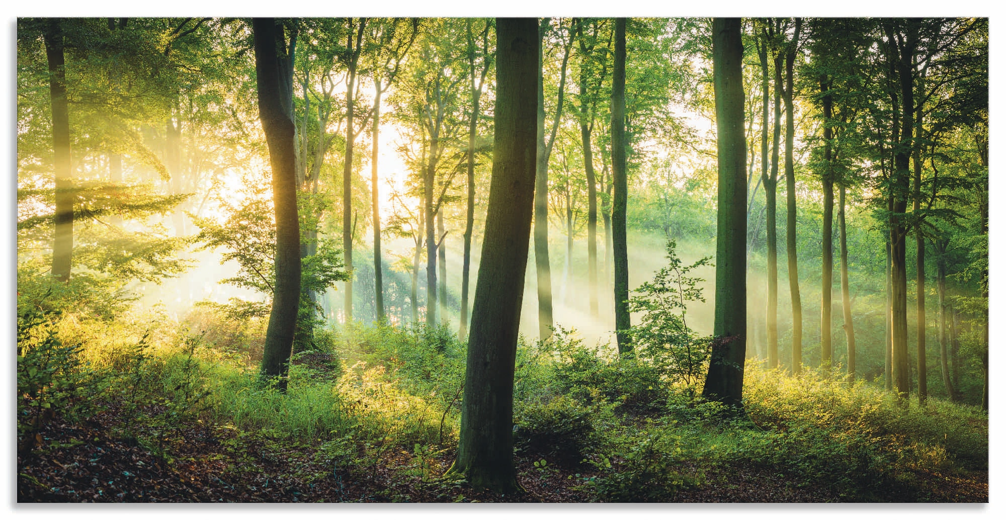 Artland Wandbild »Herbst im Wald II« Waldbilder 1 Stk. tlg. als Alubild, Leinwandbild, Poster in verschied. Grössen