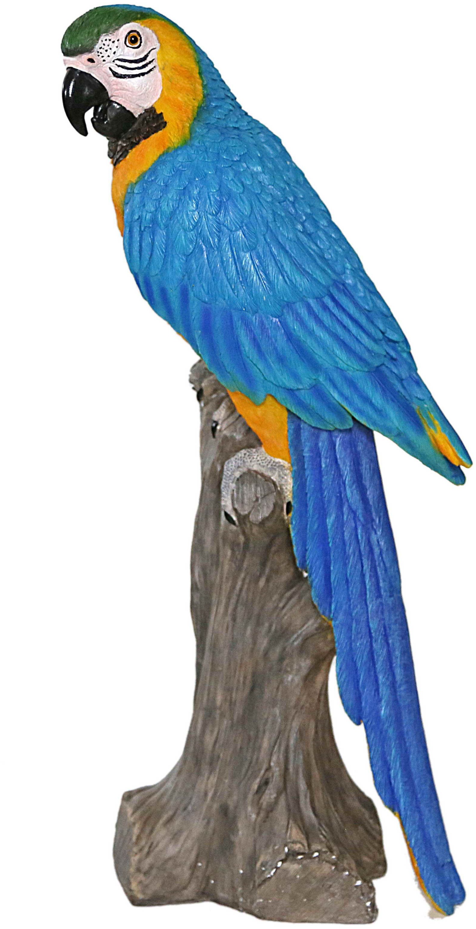 Image of Casa Collection by Jänig Tierfigur »Papagei auf Stamm sitzend, Höhe ca. 61cm«, (1 St.) bei Ackermann Versand Schweiz