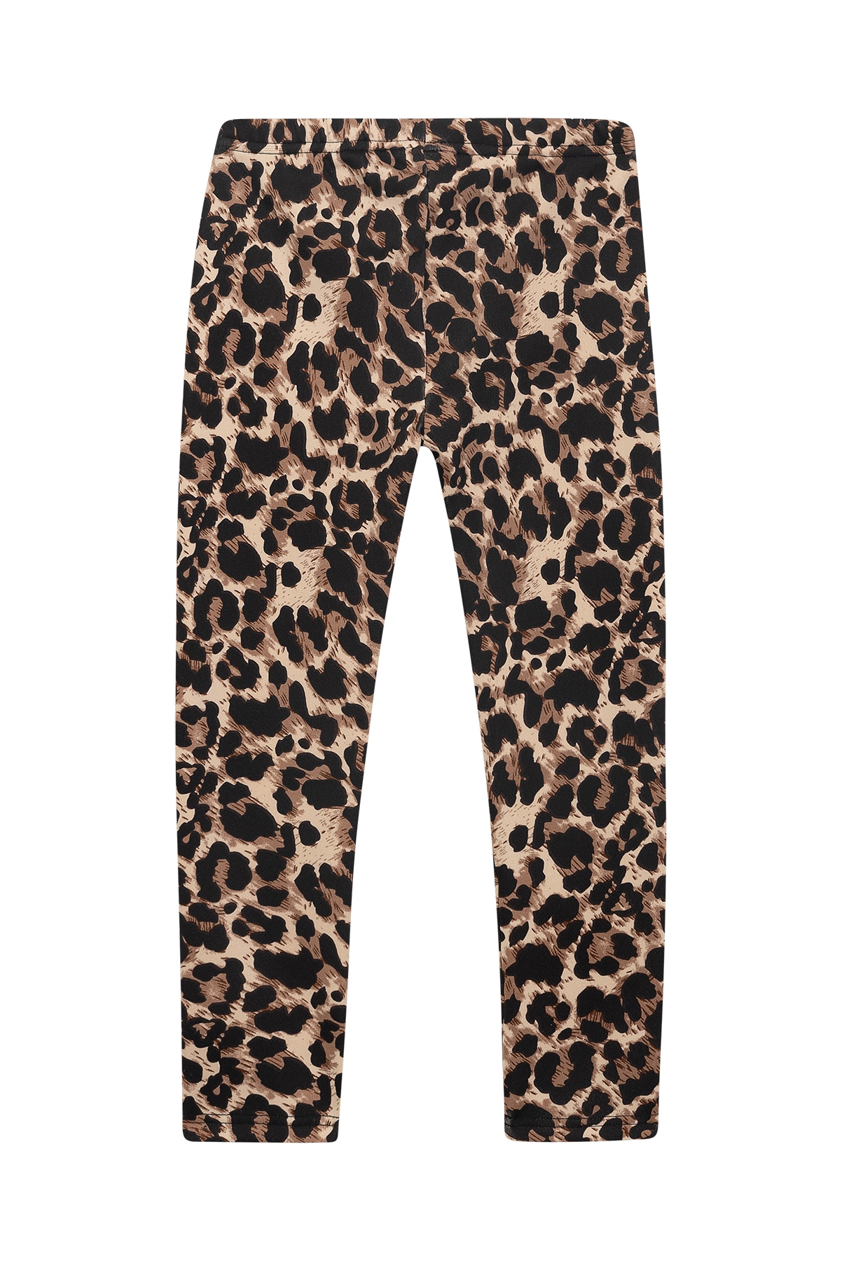 DANAMADE Leggings »DANAMADE Leggings Thermo Leginngs - DDOLLY«