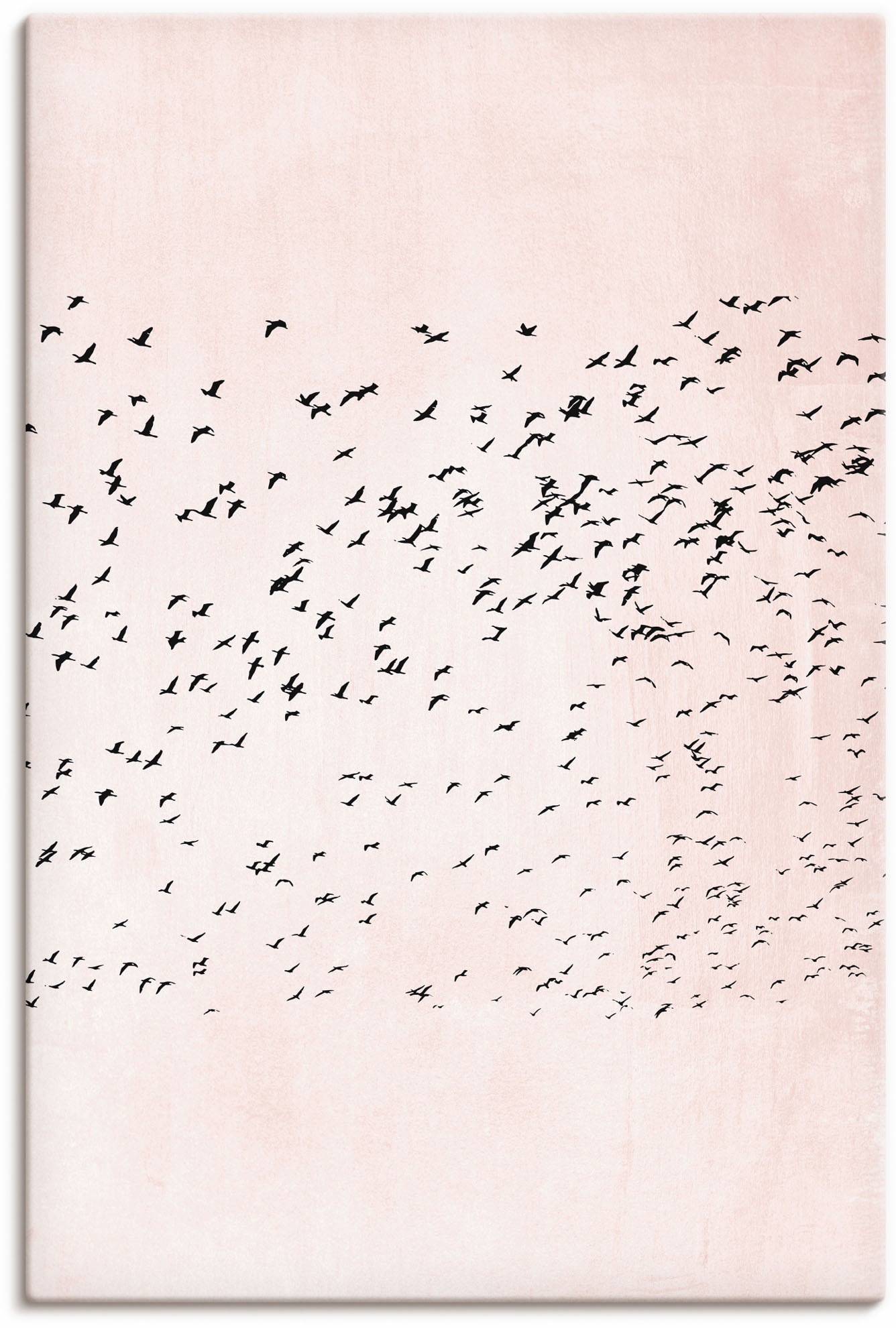 Image of Artland Wandbild »Moving On«, Vogelbilder, (1 St.), in vielen Grössen & Produktarten - Alubild / Outdoorbild für den Aussenbereich, Leinwandbild, Poster, Wandaufkleber / Wandtattoo auch für Badezimmer geeignet bei Ackermann Versand Schweiz